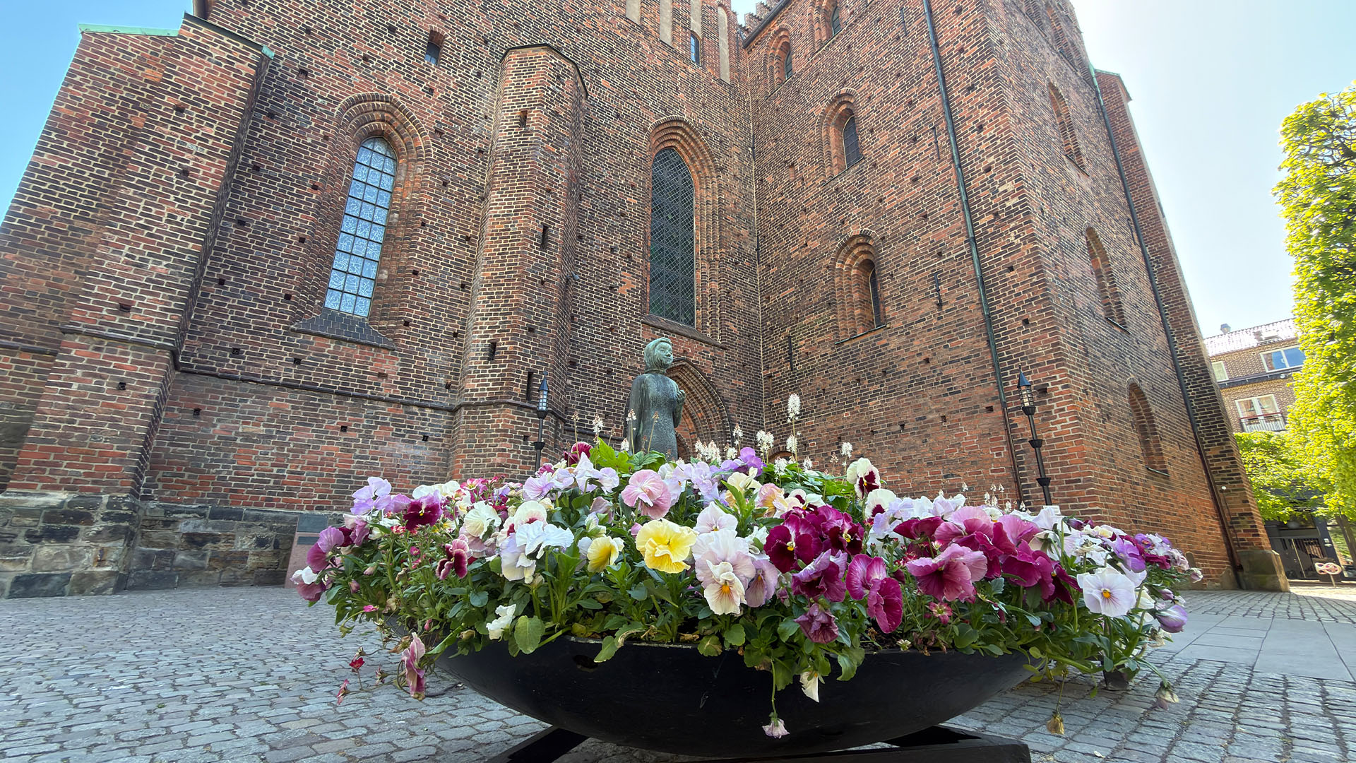 Vårblommor i fokus, i bakgrunden en staty och Mariakyrkan i Helsingborg