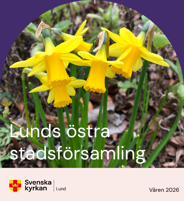 församlingsbladet har våren 2026 en bild på minipåskliljor på framsidan.