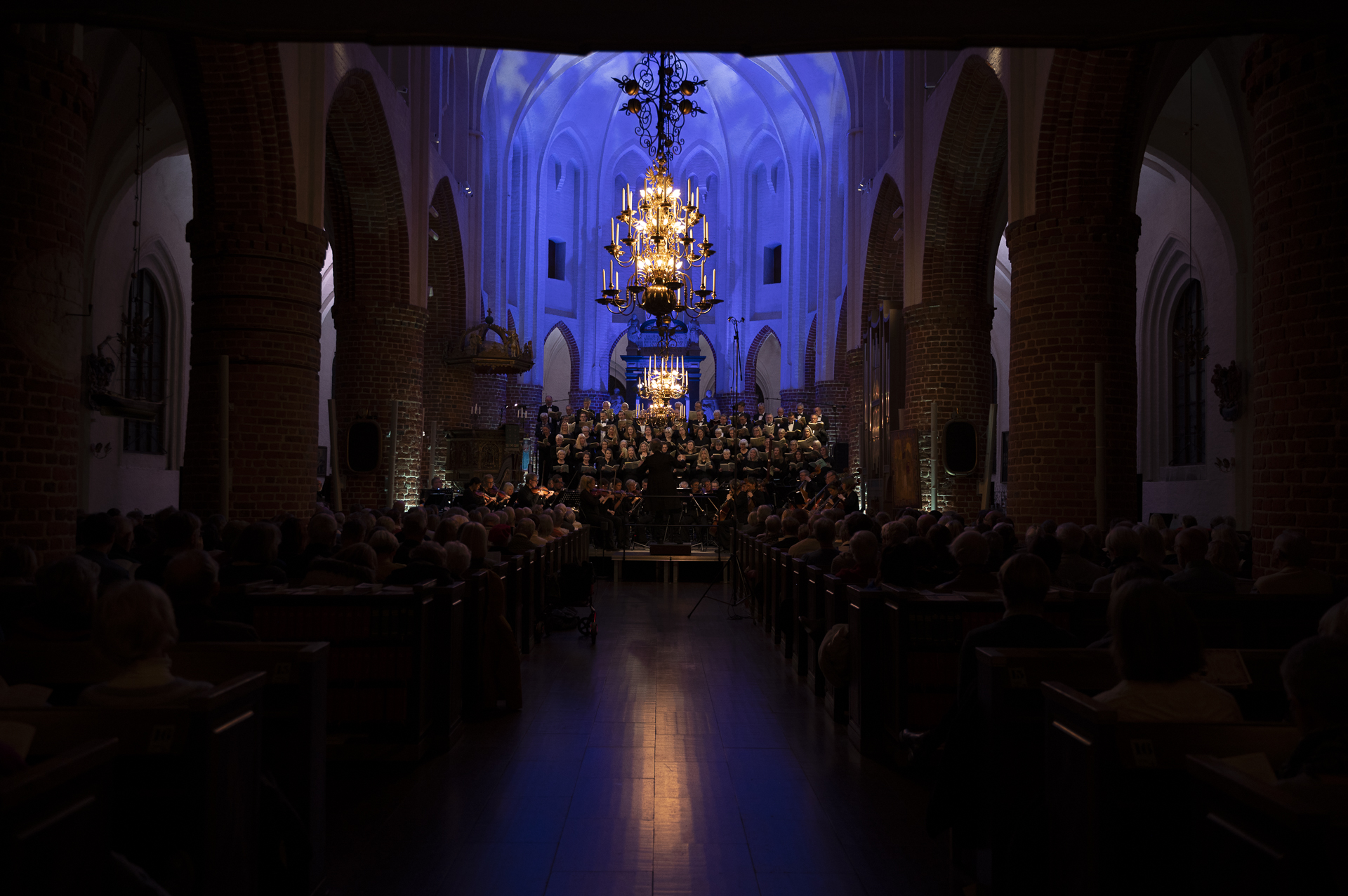 En stor kör med orkester i S:t Nikolai upplysta kyrkas kor.