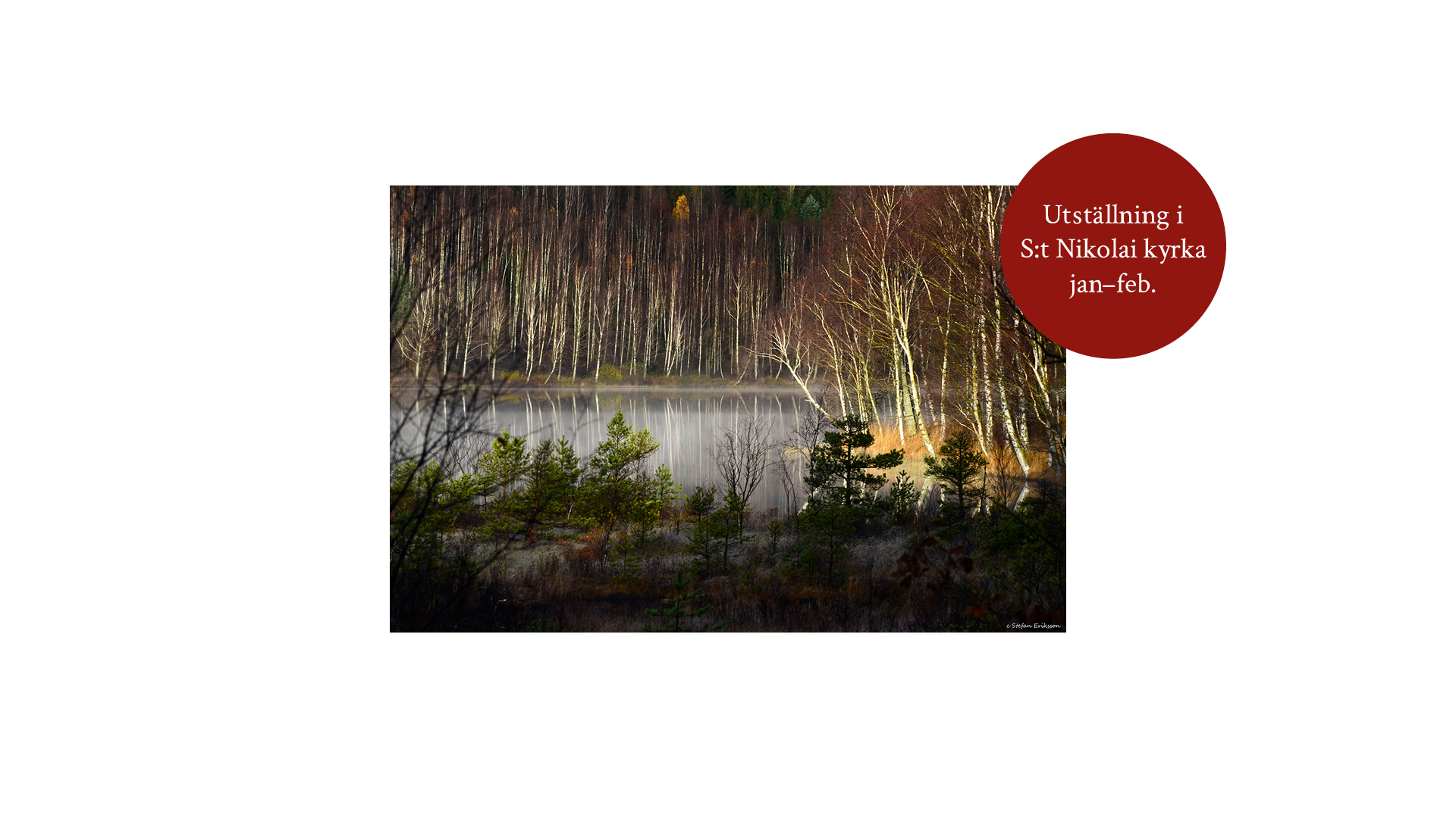 Bild från utställning med naturfotografi i S:t Nikolai kyrka