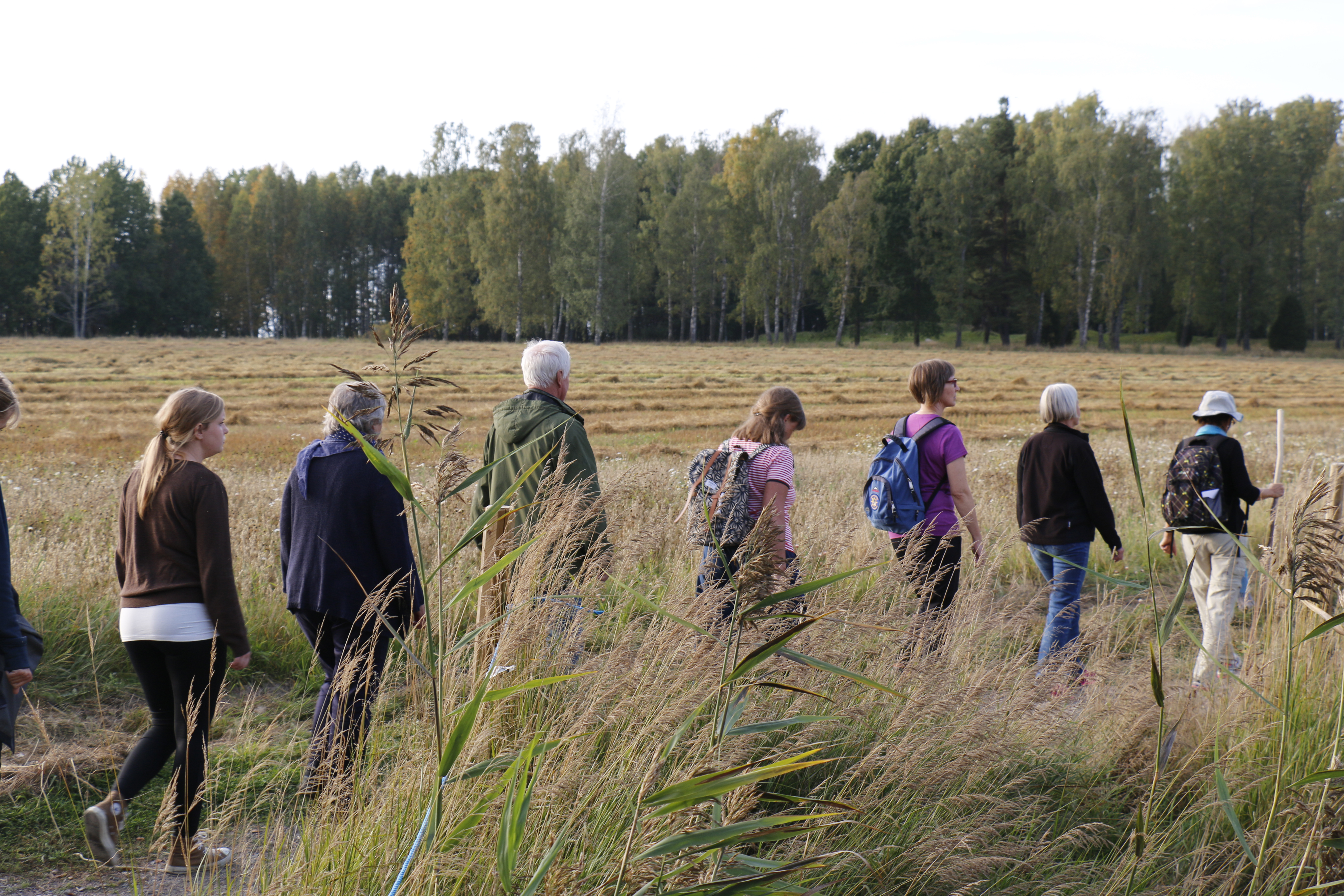 8 personer som går på led över ett fält, från vänster till höger