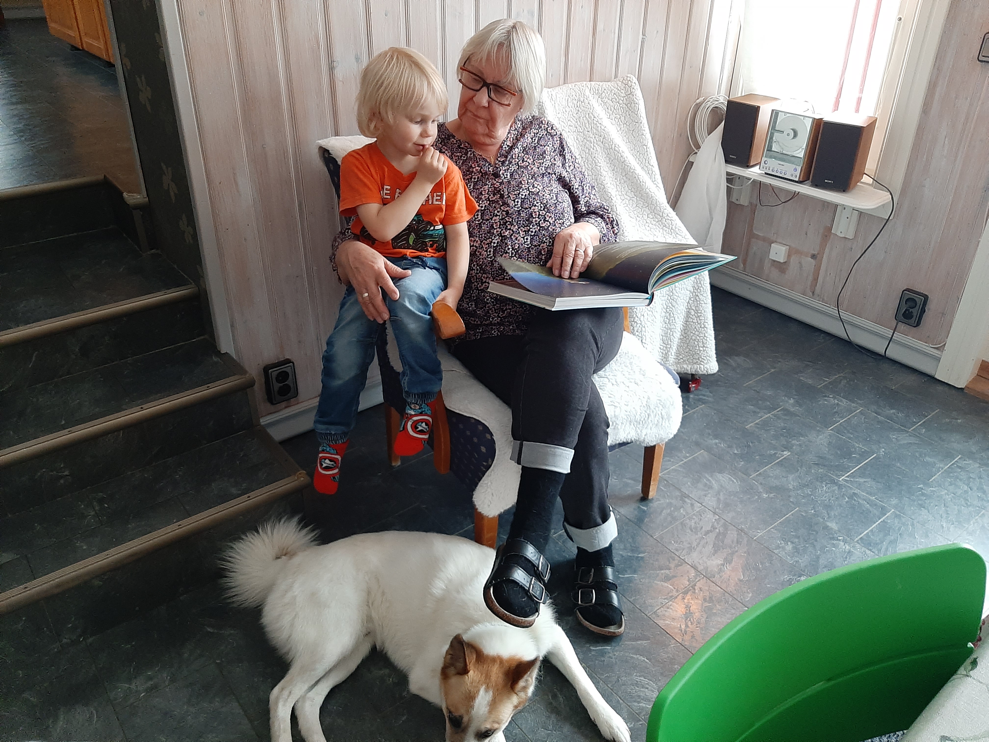 En liten pojke sitter bredvid sin farmor som läser ur Barnens bibel. På golvet kan man ana en en hund som ligger och vilar. 