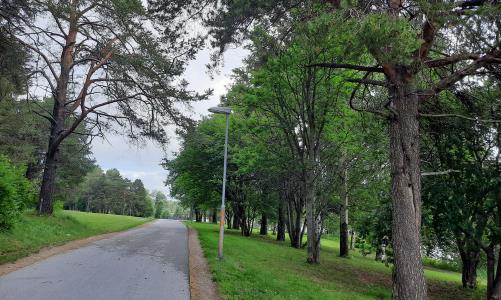 Promenadväg