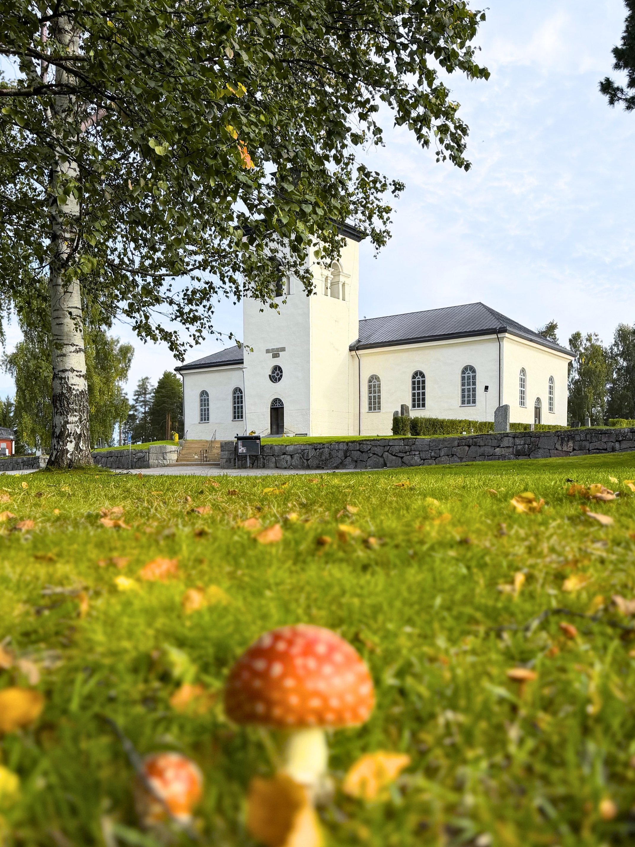 En flugsvamp i förgrunden med fallna gula löv på marken. I bakgrunden syns en vit kyrka med svart tak.