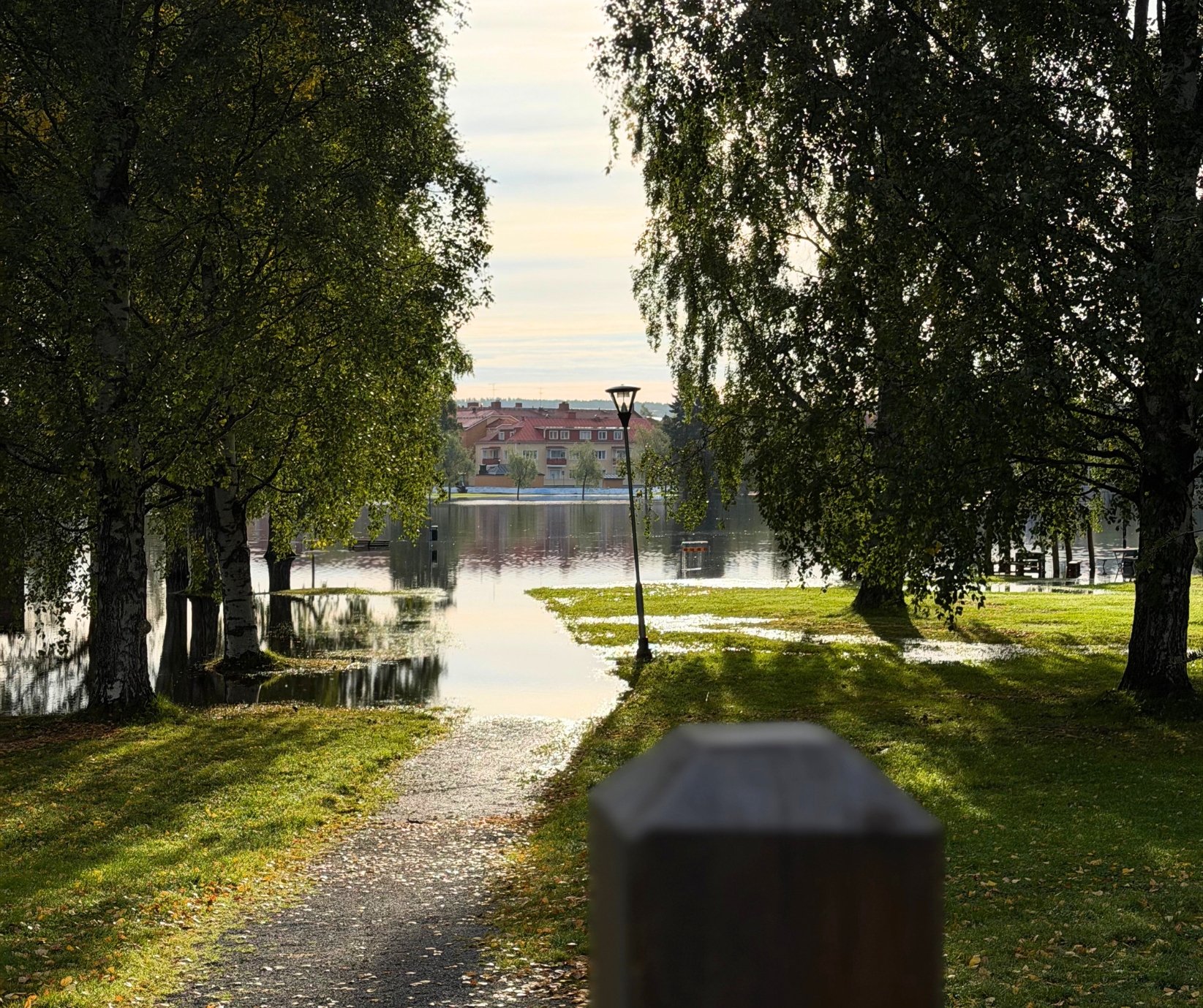 bild på en översvämmad gångväg ner mot vatten. På vardera sida av gångväg står björkar.