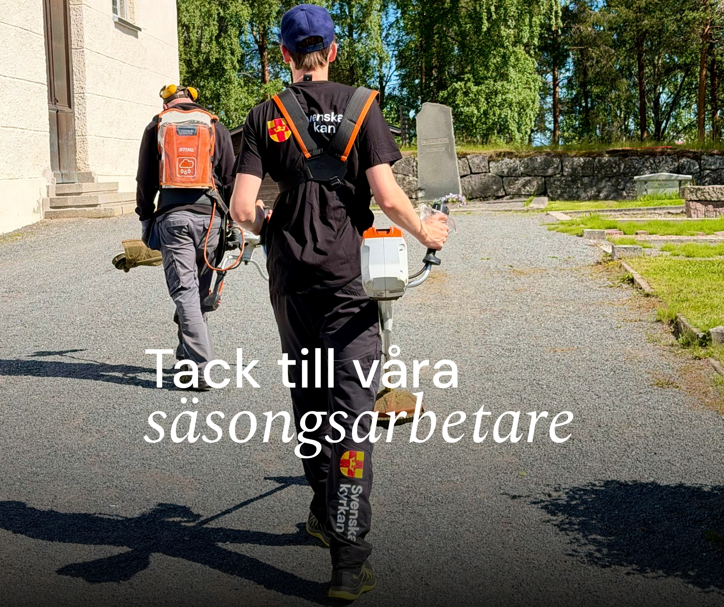 Det är sommar. Bild på kyrkogårdsarbetare bakifrån. De bär på röjsåg och går upp för en grusgång. På bilden finns en text där det står tack till våra säsongsarbetare