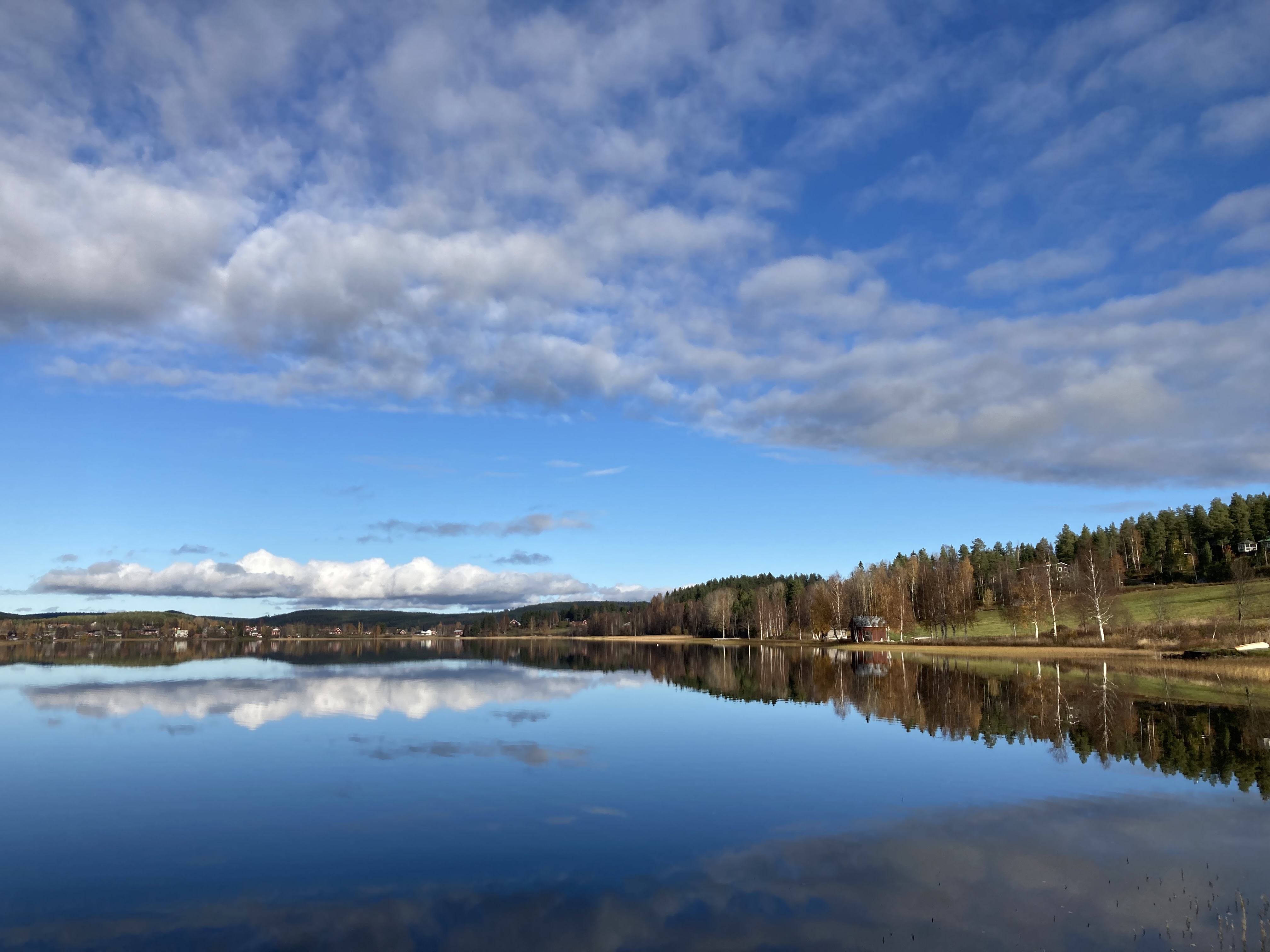 En vy över spegelblanka Tavelsjö med träden i höstfärger längs stranden. Blå himmel med några lätta moln.