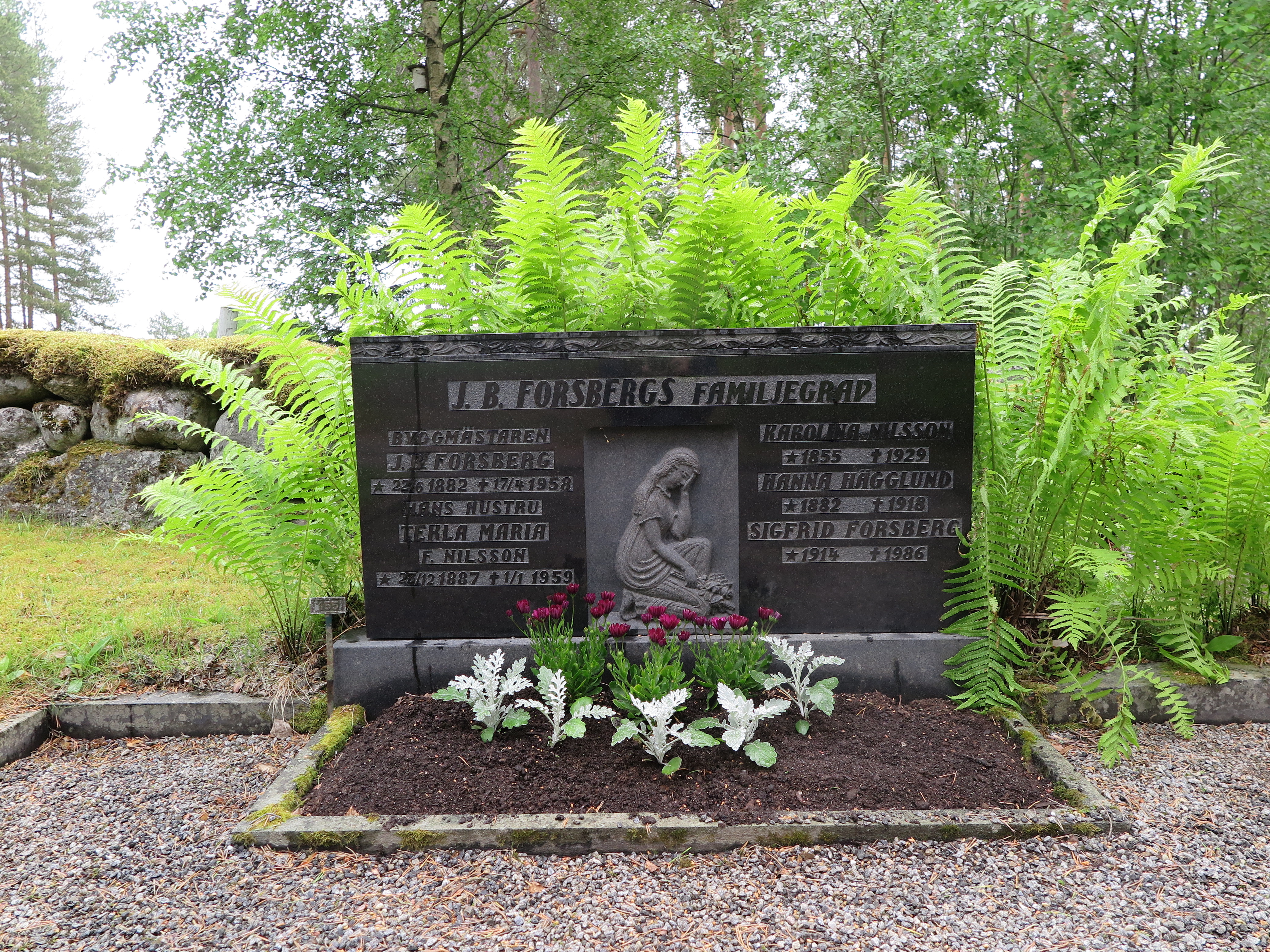 Ormbunke signaturväxt Tavelsjö kyrkogård