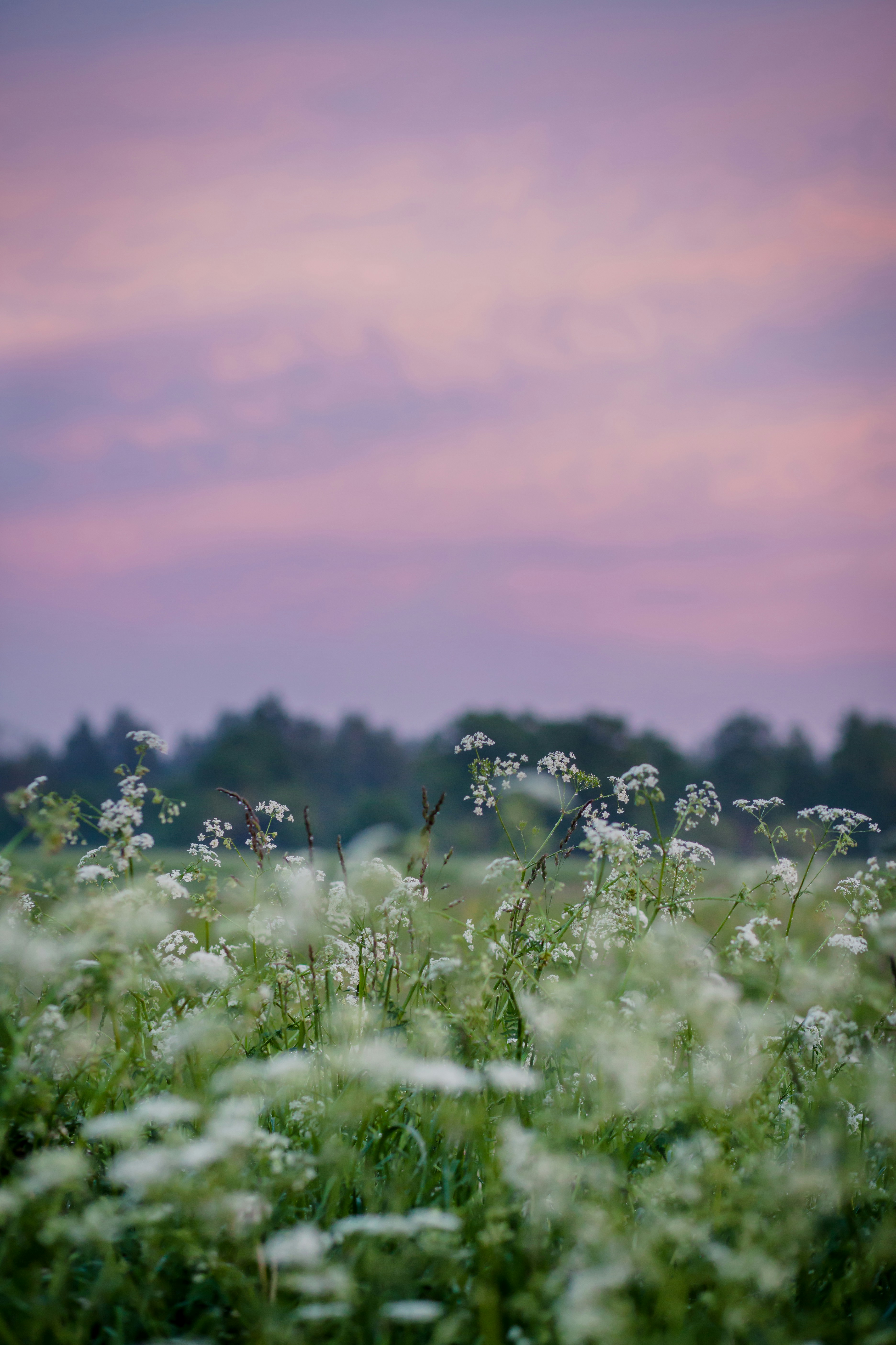 zane-priedite-31aKveRnvcA-unsplash