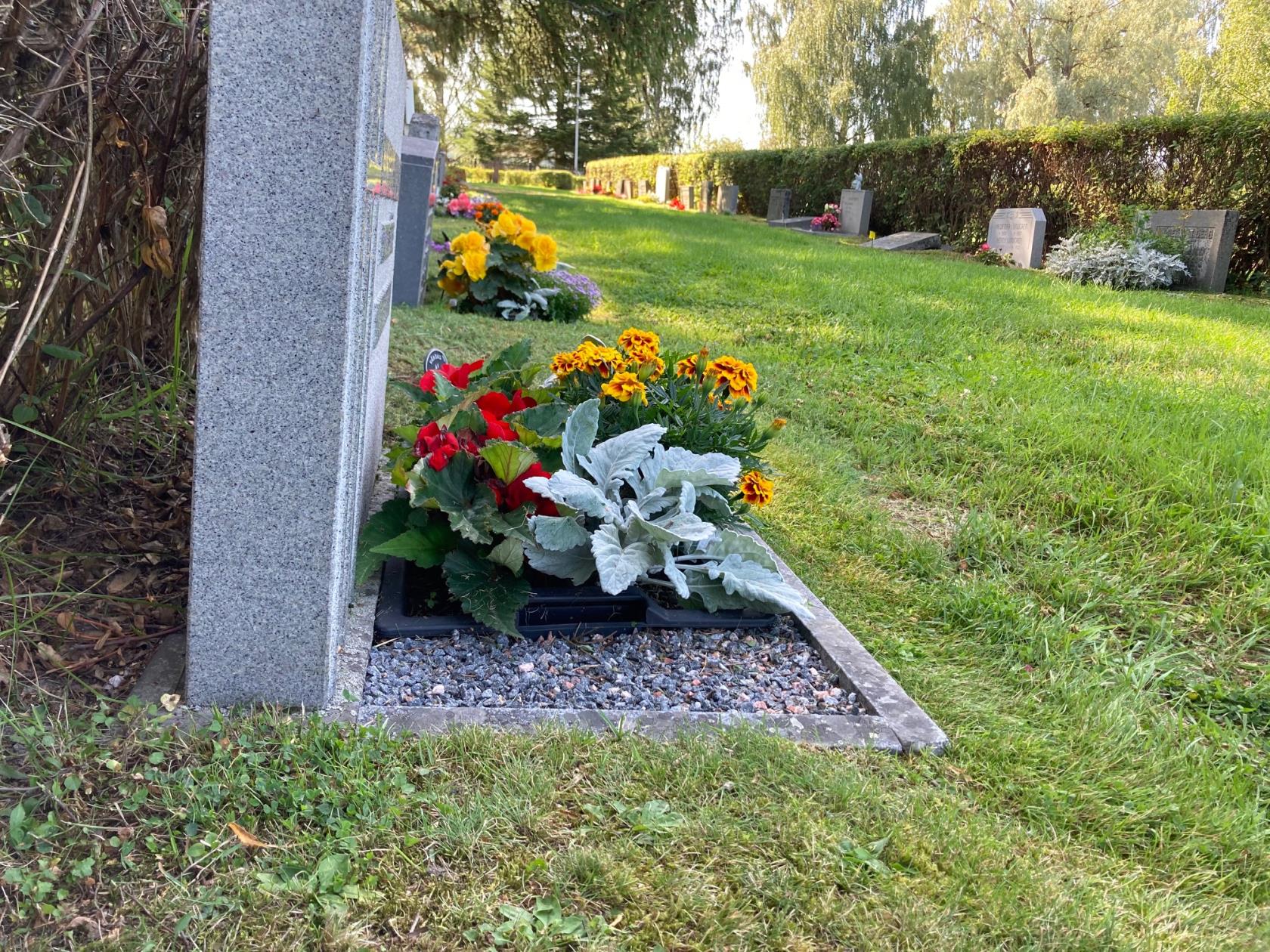 Bild på grav med blommor från Själevads kyrkogård
