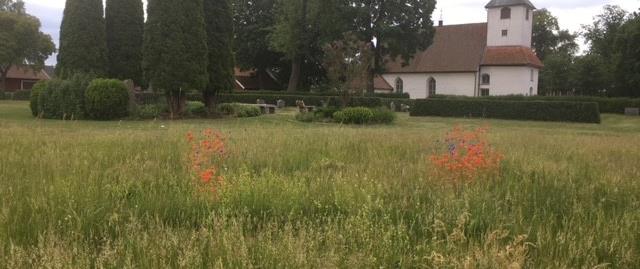 Annandag pingst firar vi genom att ha mässa i det fria vid ängen bredvid Götlunda kyrka. Måndag 24 maj kl. 19.00. Medtag gärna fikakorg. Vid dåligt väder är vi i kyrkan.