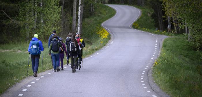 Här kan du se vilka vandringar vi kommer att genomföra under våren och sommaren. Välkommen att vandra med!