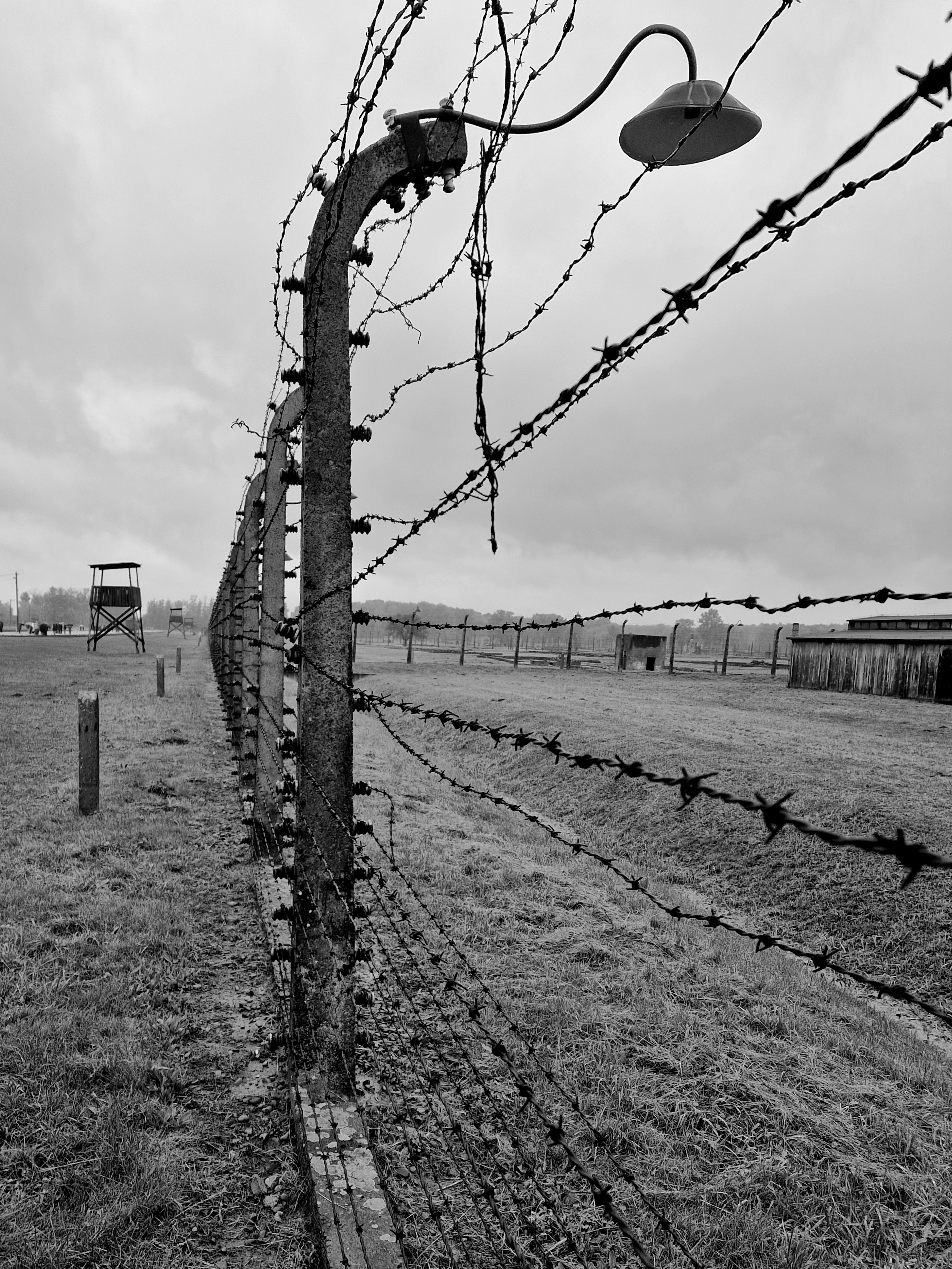 Svartvit bild av lyktstolpe och taggtråd i Birkenau.