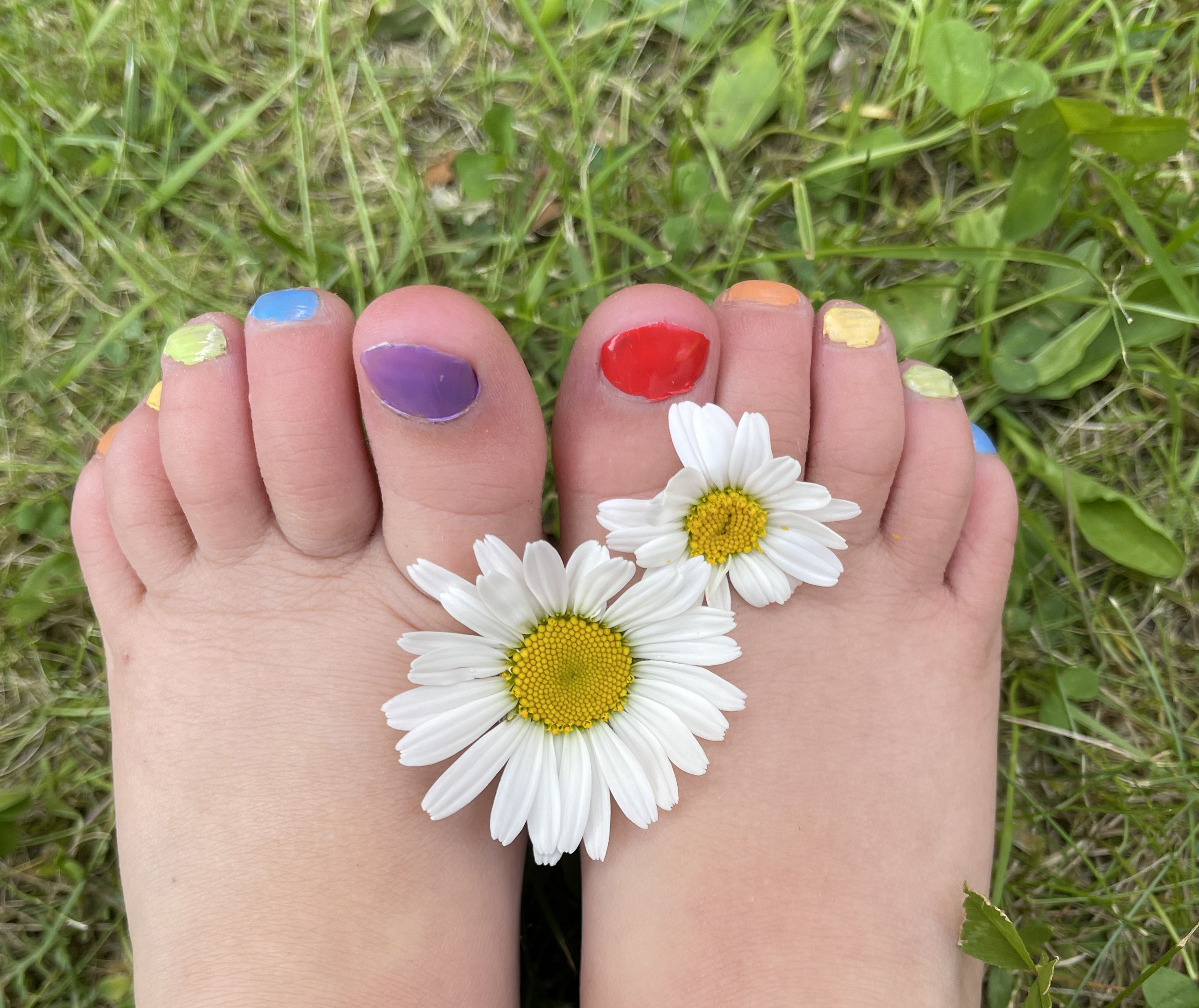 Två barnfötter med nagellack i olika färger och två prästkragar i gräset.