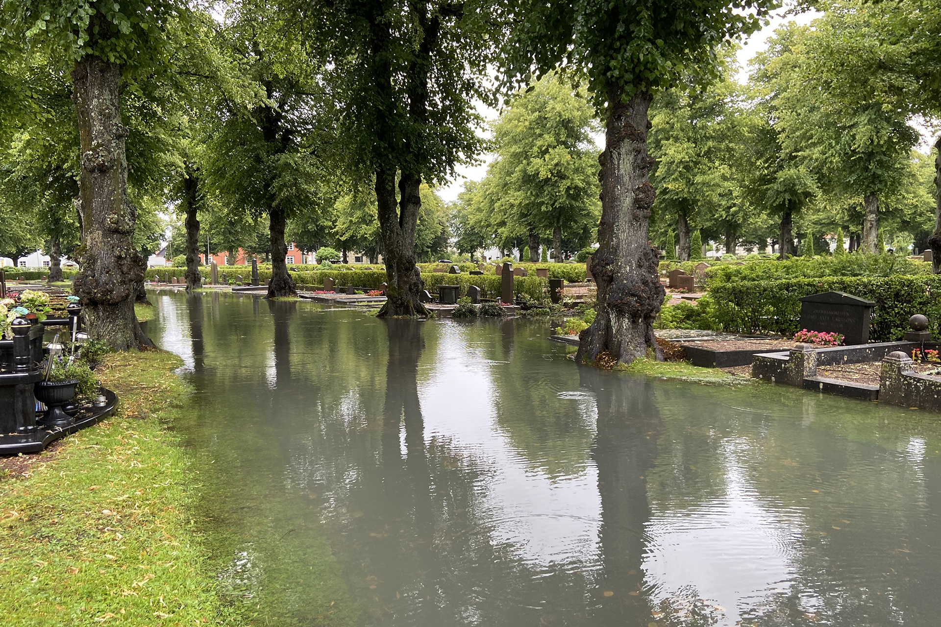 Vatten översvämmar gångar i kyrkogårdsmiljö med gravar och träd.
