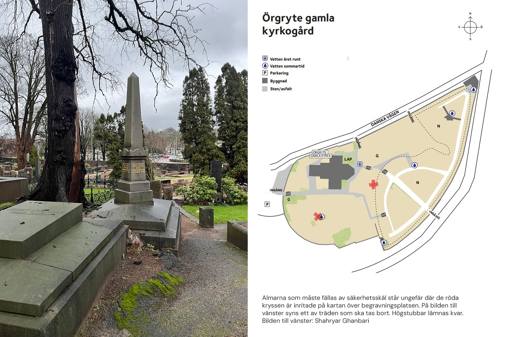 Collage med bild på kyrkogård med skadat träd intill en gravsten samt karta över kyrkogården med två röda kryss.