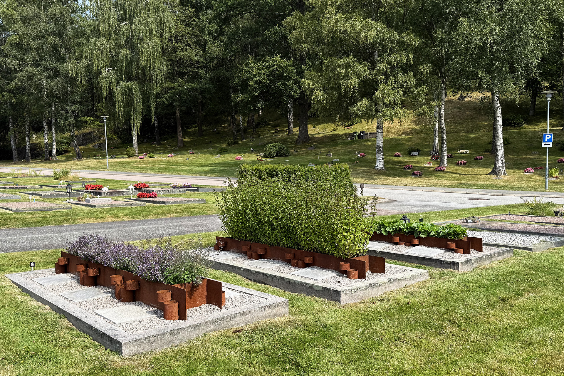 Askgravplatser med gemensamma perennplanteringar på en begravningsplats med grönskande träd och en kulle i bakgrunden.