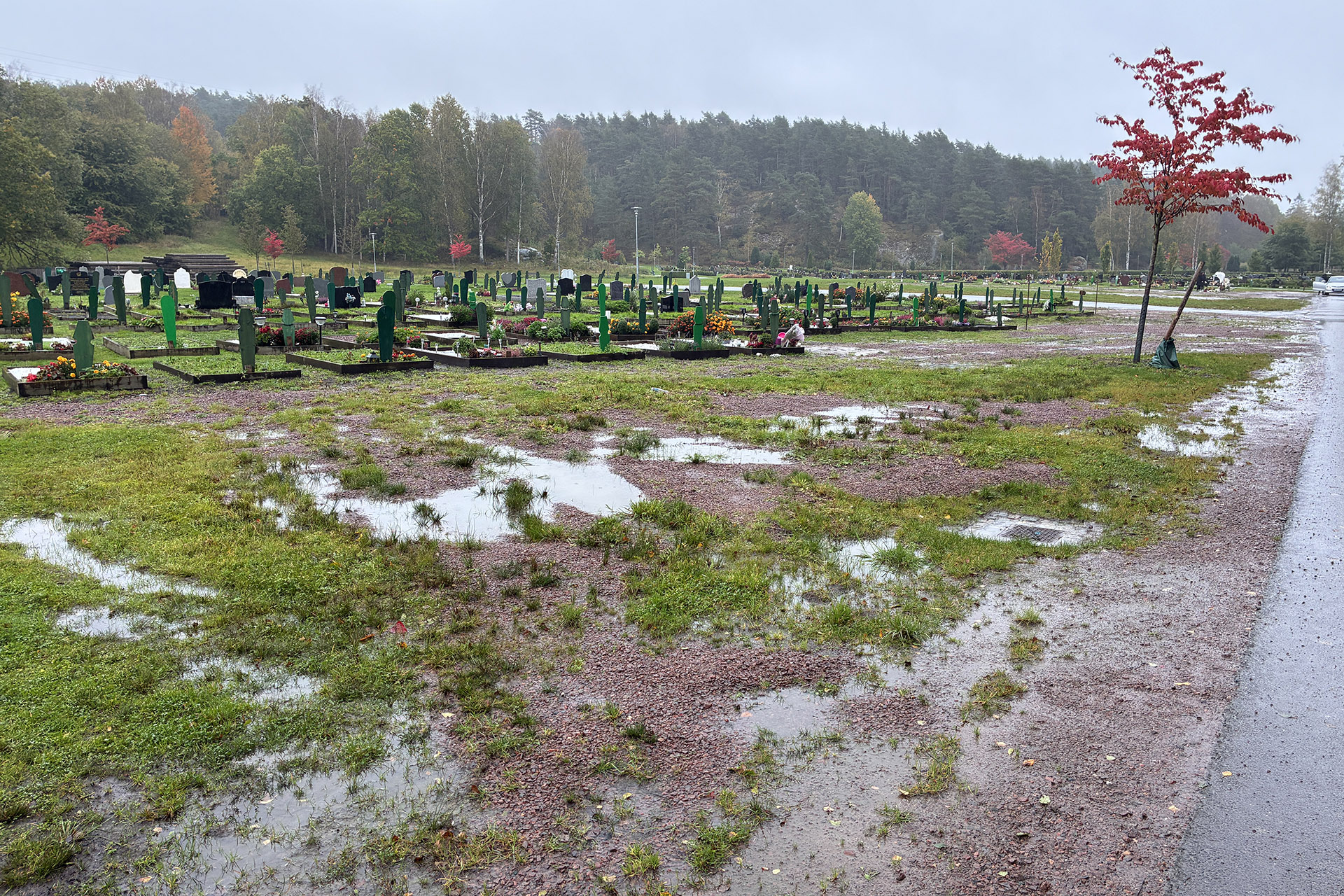 Gräsyta med vattenpölar och grusspår framför gravkvarter. I bakgrunden träd.
