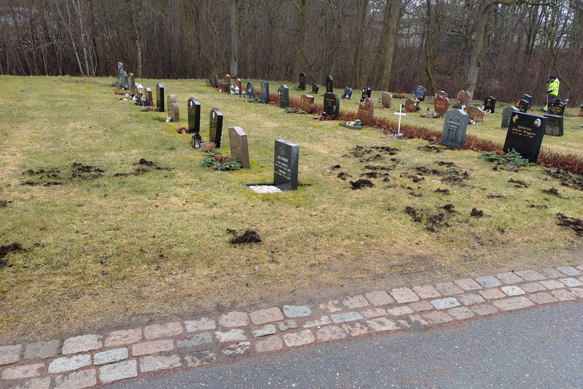 Gravkvarter med gravstenar och sönderbökade gräsytor. I bakgrunden en kykrkogårdsarbetare i varselkläder.