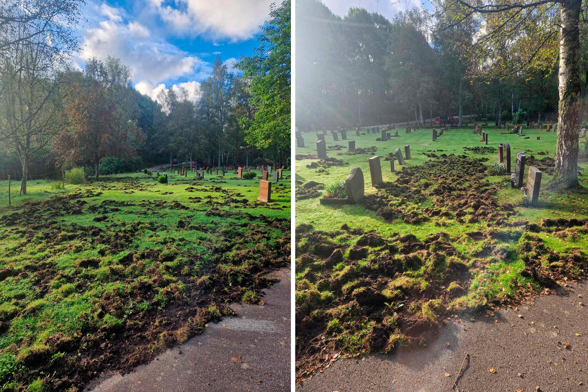 Kyrkogård med gravstenar uppbökad