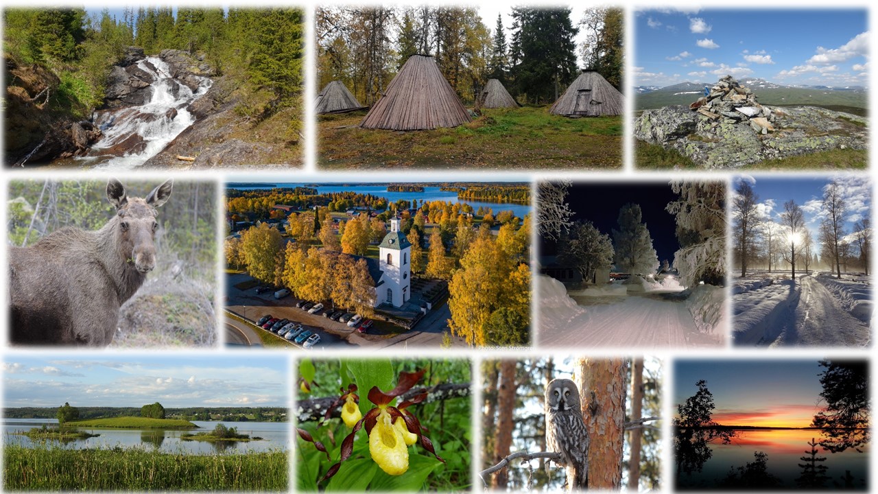 Vi söker en kyrkoherde