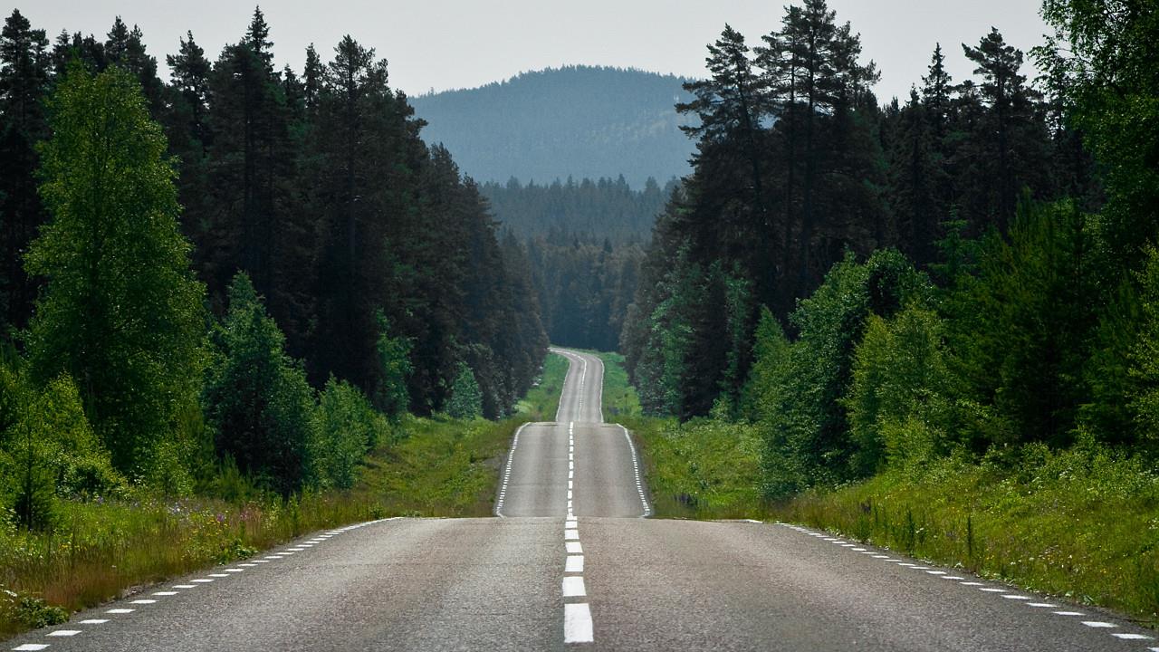 väg som skär genom ett skogrikt landskap, med uppförs- och nedförsbackar. 