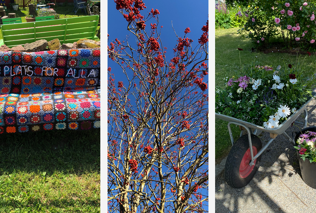 Träd, blommor och en soffa där det står plats för alla.