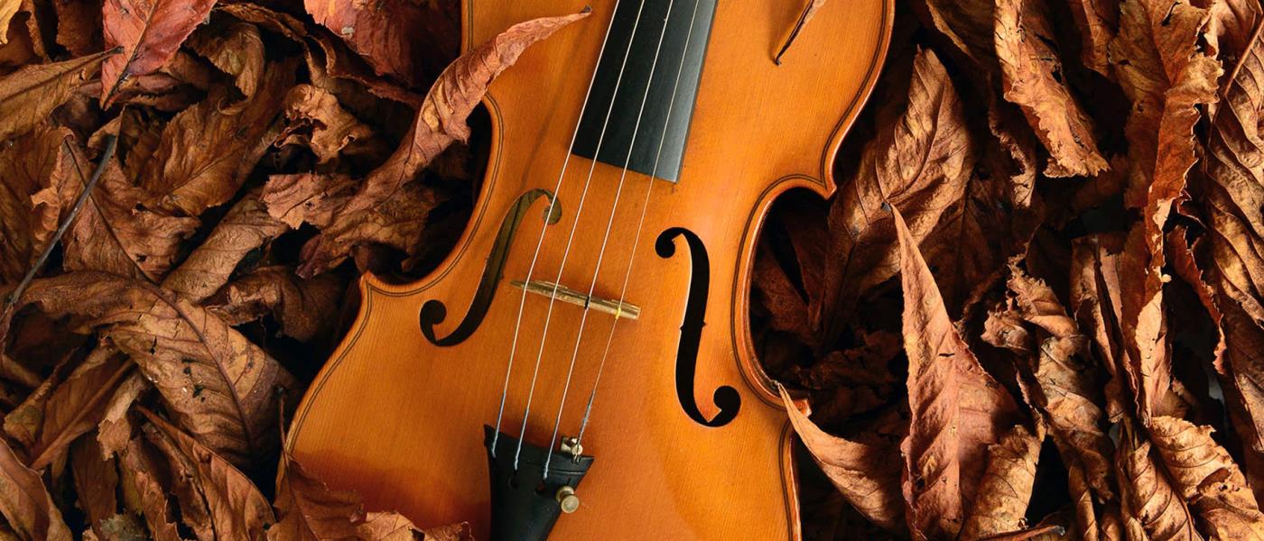 Violin. 
