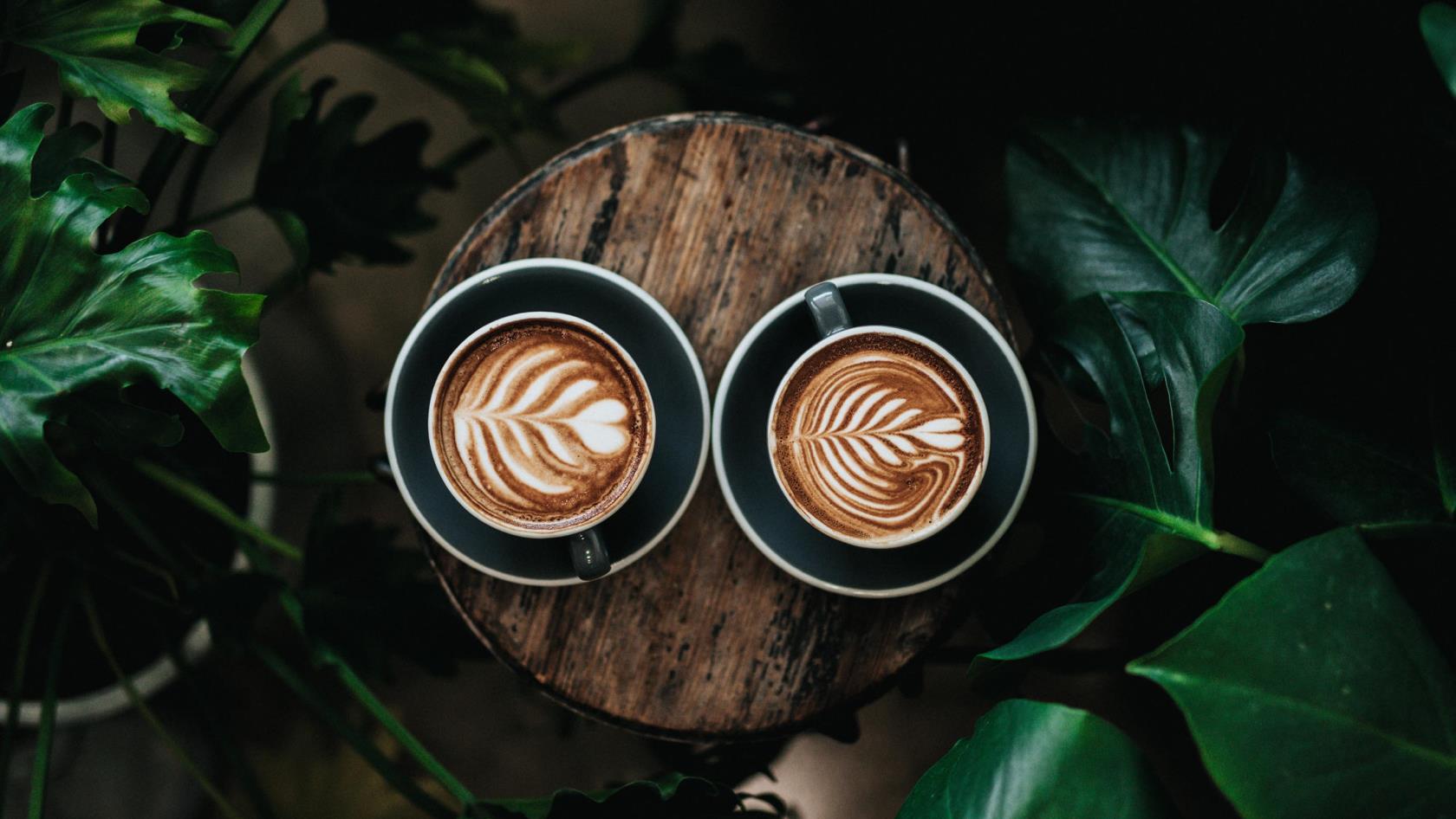 Två koppar med kaffe står på ett bord omringat av växter.
