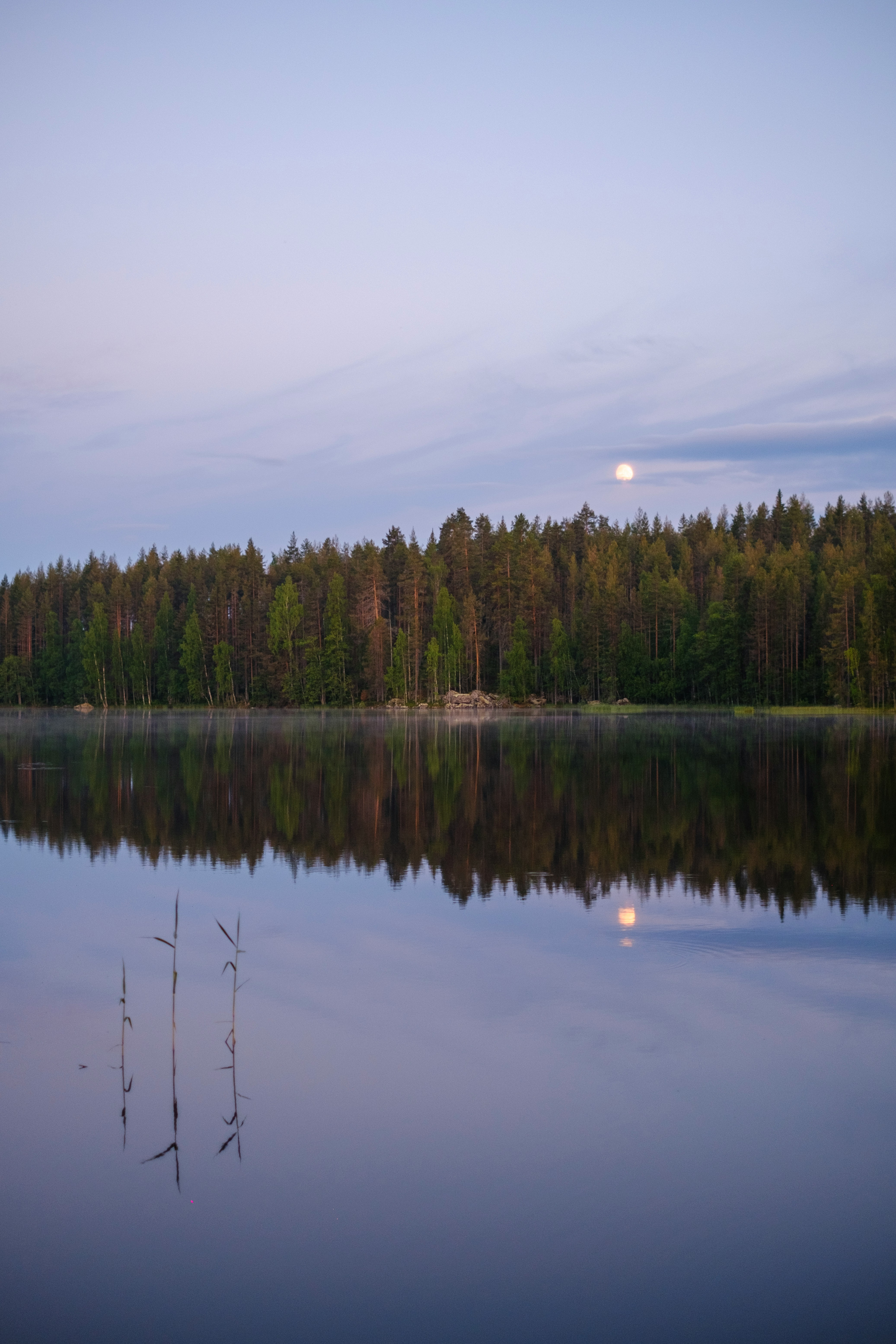 Sjö