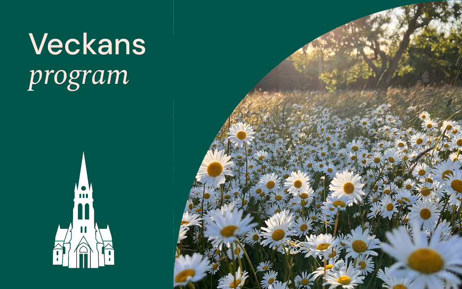 Till höger en vit grafisk siluett av domkyrkan och texten Veckans program på mörkgrön bakgrund. Till höger en bild på en äng med prästkragar