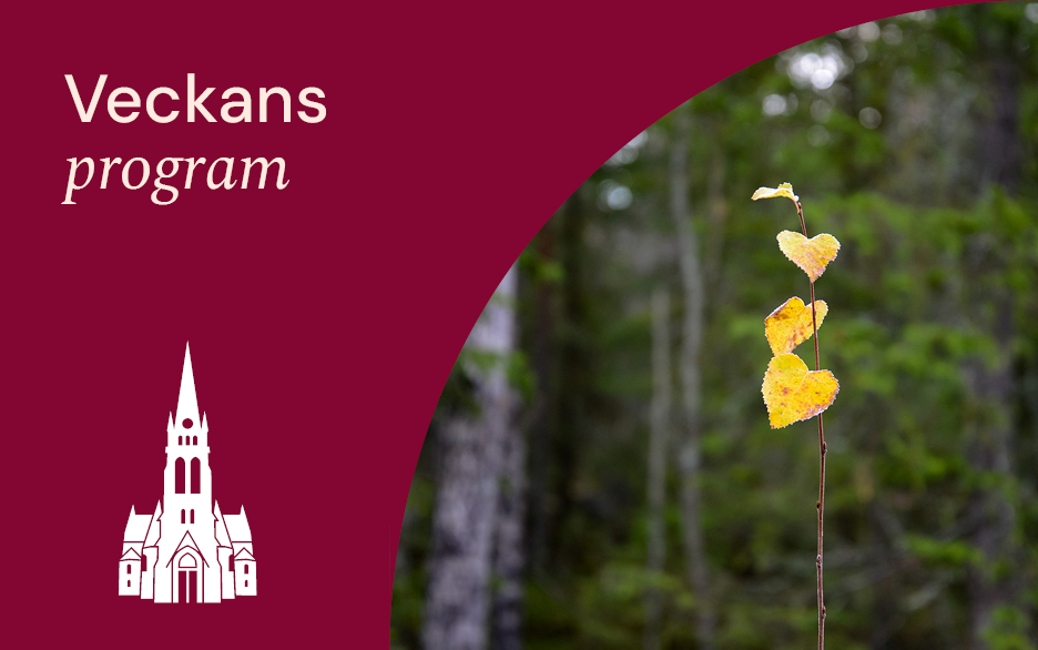 Foto på gula löv i skogen. Text: Veckans program. Illustration av Luleå domkyrka