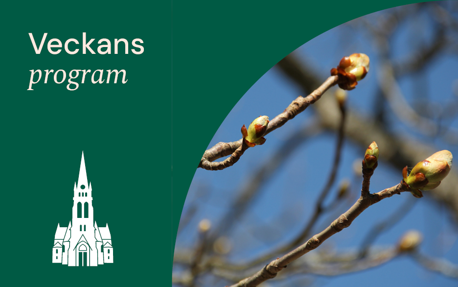 Bild på grenar med knoppar. Text: Veckans program. Illustration av Luleå domkyrka