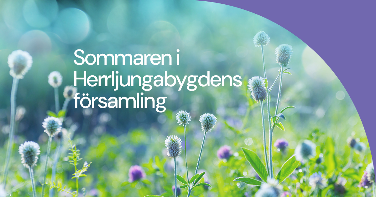 sommarblommor