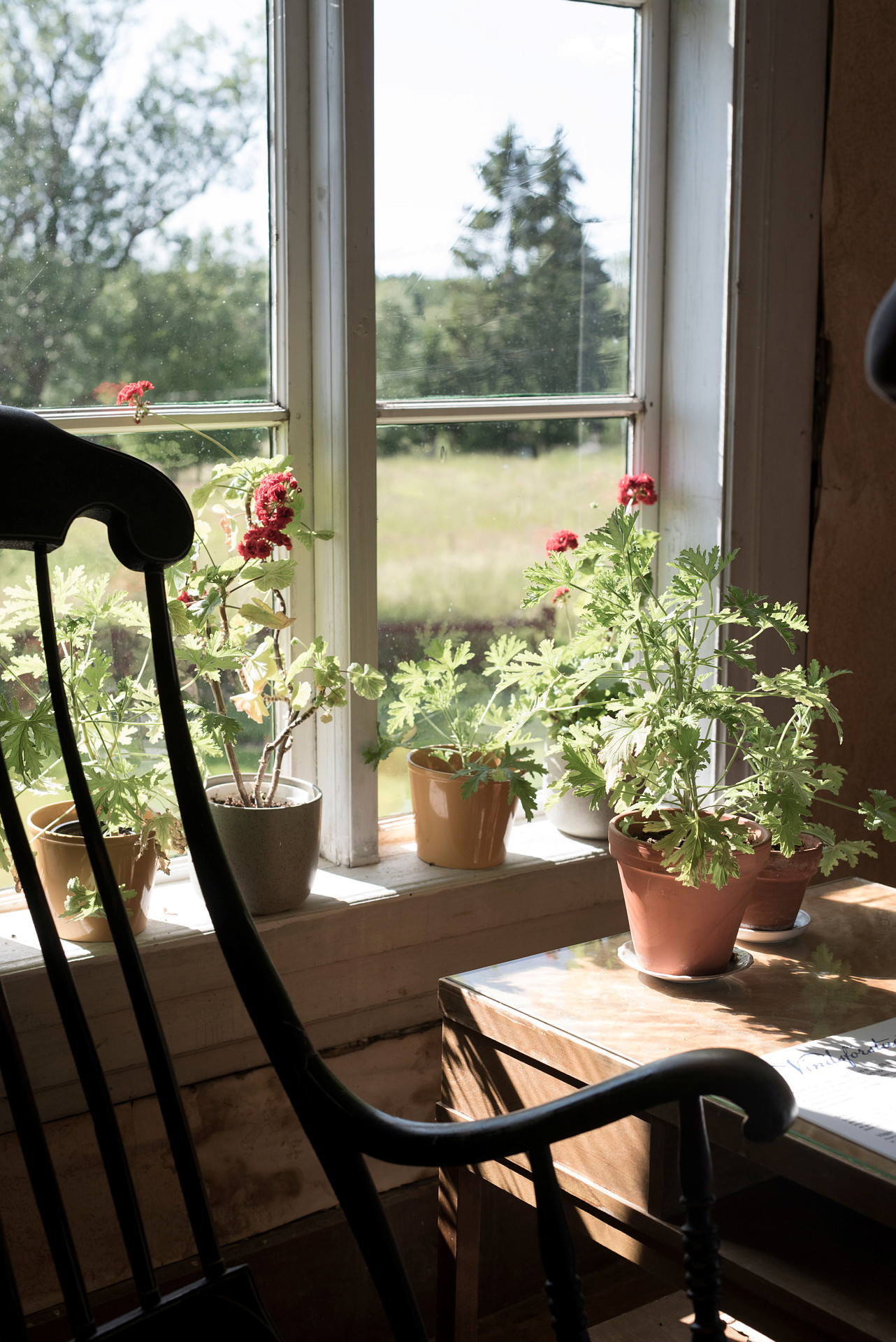 Gungstol framför ett fönster med pelargoner