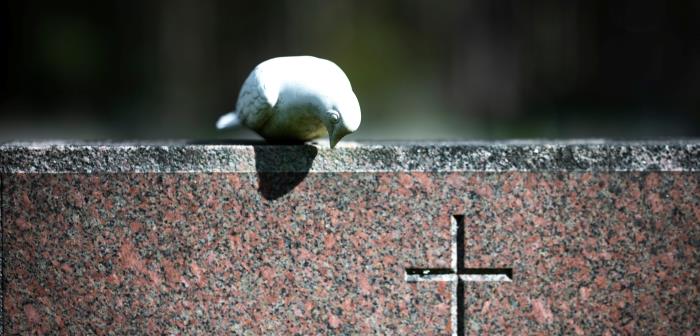 Under oktober månad påbörjar kyrkogårdsförvaltningen en omfattande gravstenkontroll. Syftet är att trygga att vi har en säker kyrkogård för besökare och personal.
Läs mer