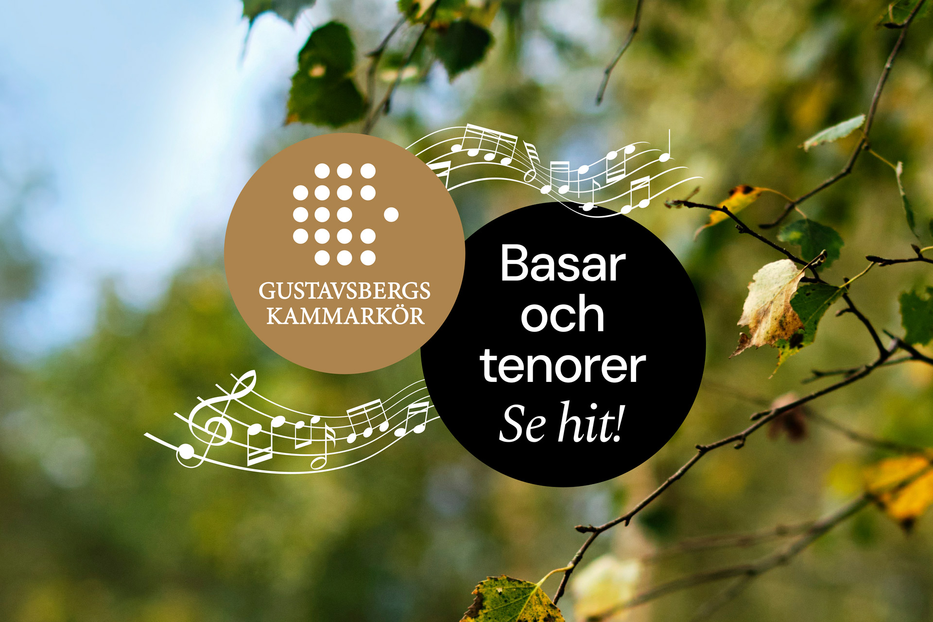 Gustavsbergs Kammarkör söker basar och tenorer