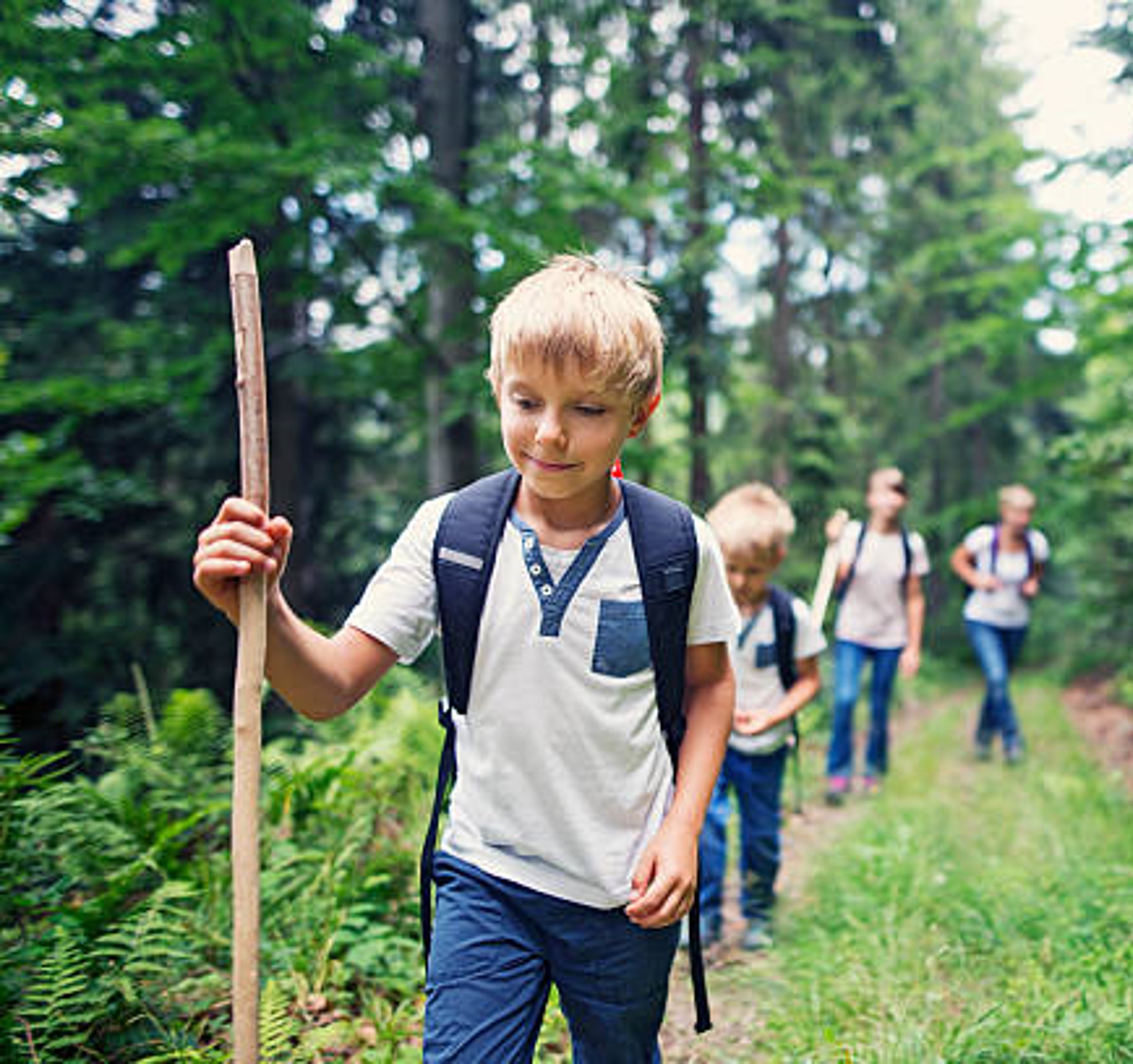 Bild på barn som vandrar i skogen med vandringsstavar