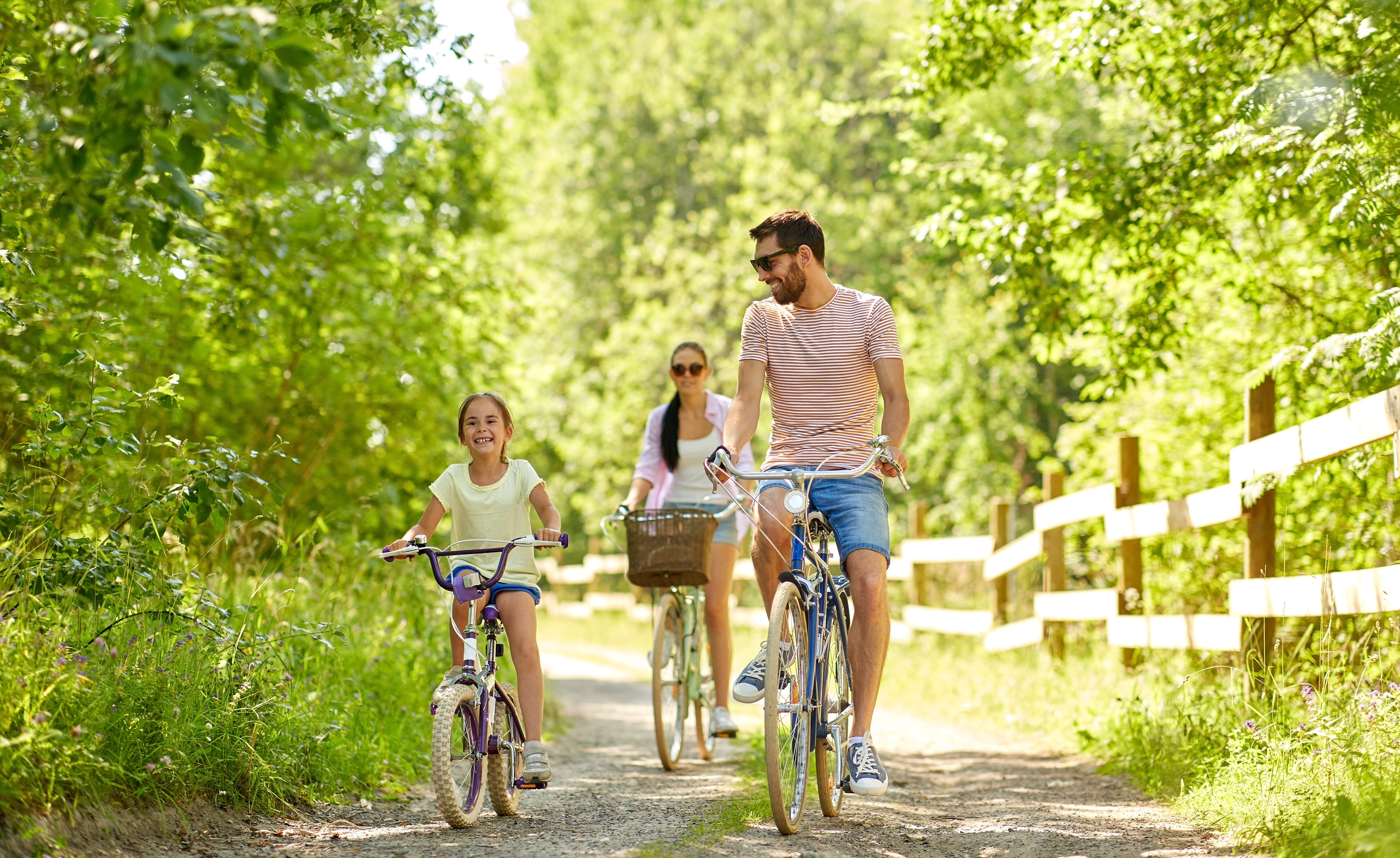 Bild på familj som cyklar på grusväg bland träd i solen