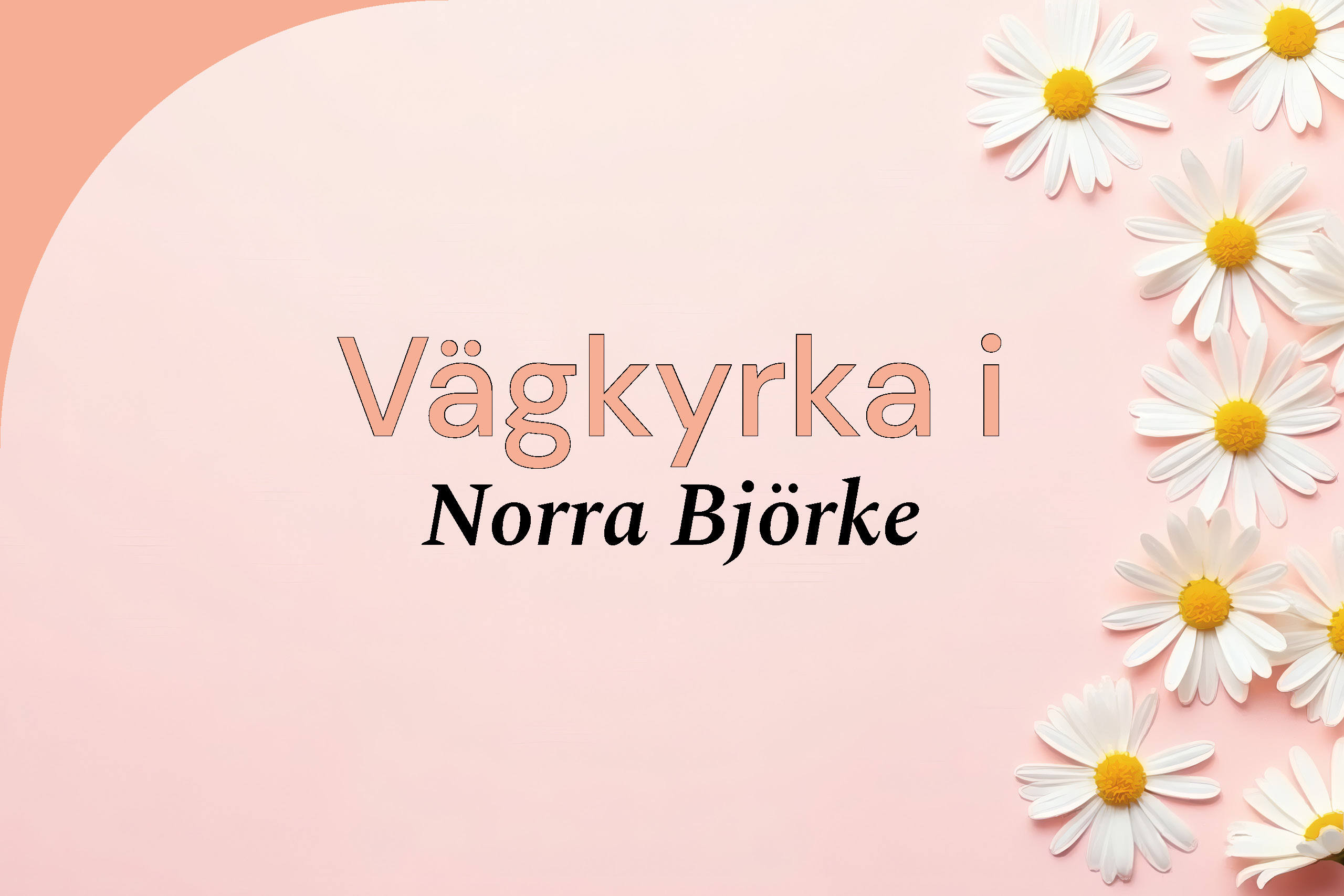 Text i bild: Vägkyrka i Norra Björke Bild: blommor på rosa bakgrund