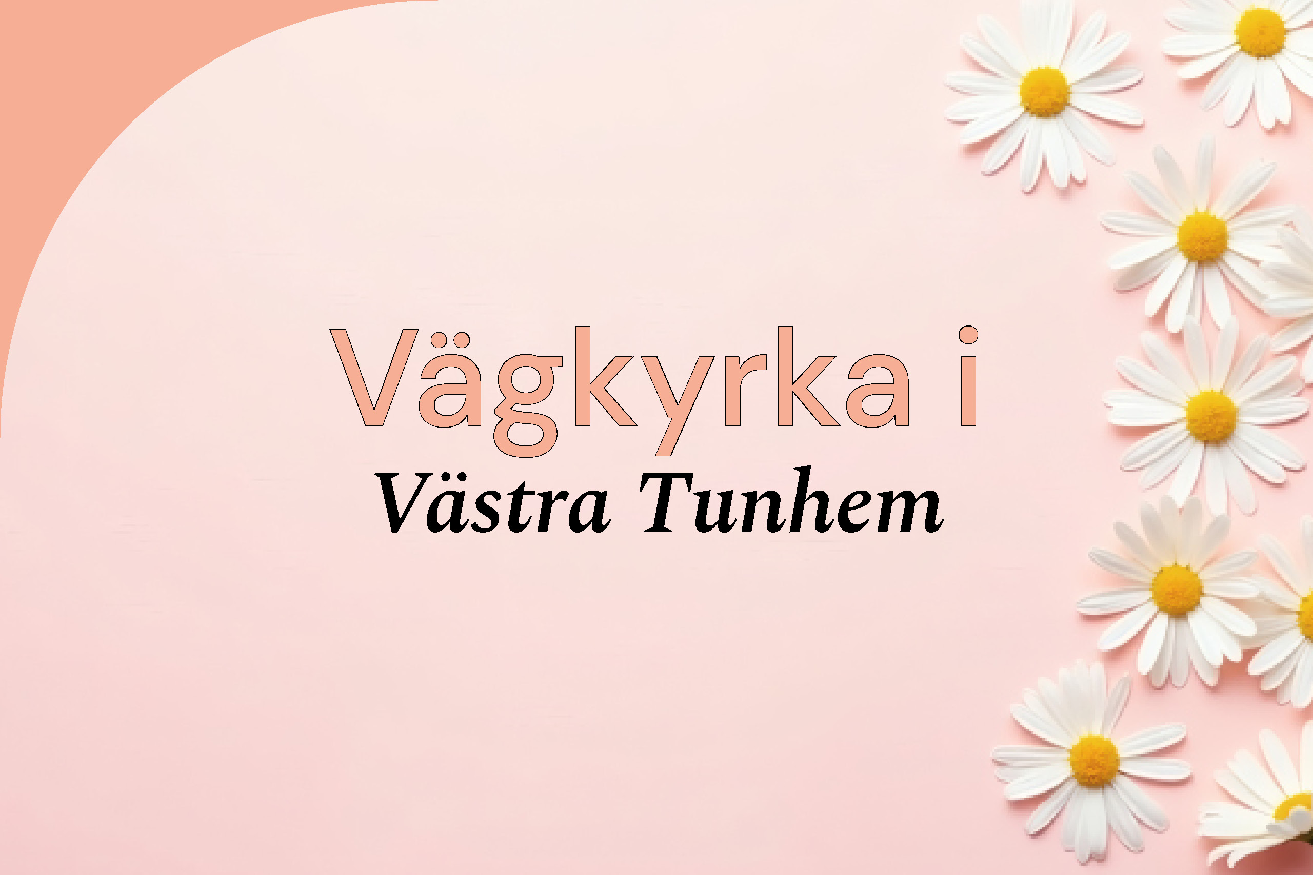 Text i bild: Vägkyrka i Norra Björke Bild: blommor på rosa bakgrund