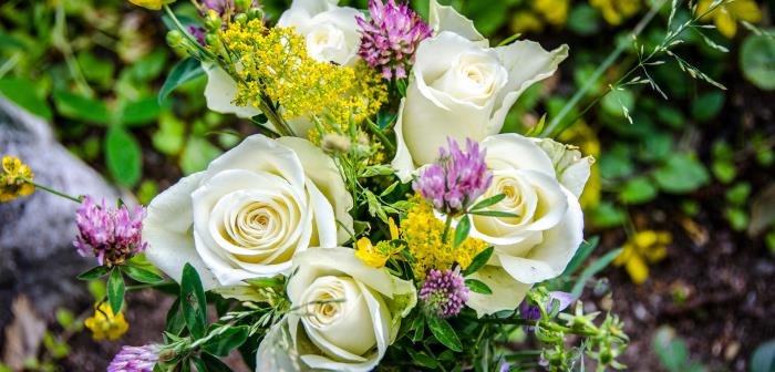 Blommor