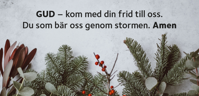Jul & Nyår i Laholms pastorat – Här finner du allt som rör jul och nyår. Julotta, julspelsvandring, julkonserter, julböner och nyårsbön – från S:t Clemens kyrka, Skummeslövs kyrka och Skogaby kapell. För att se och höra, klicka dig bara vidare här!