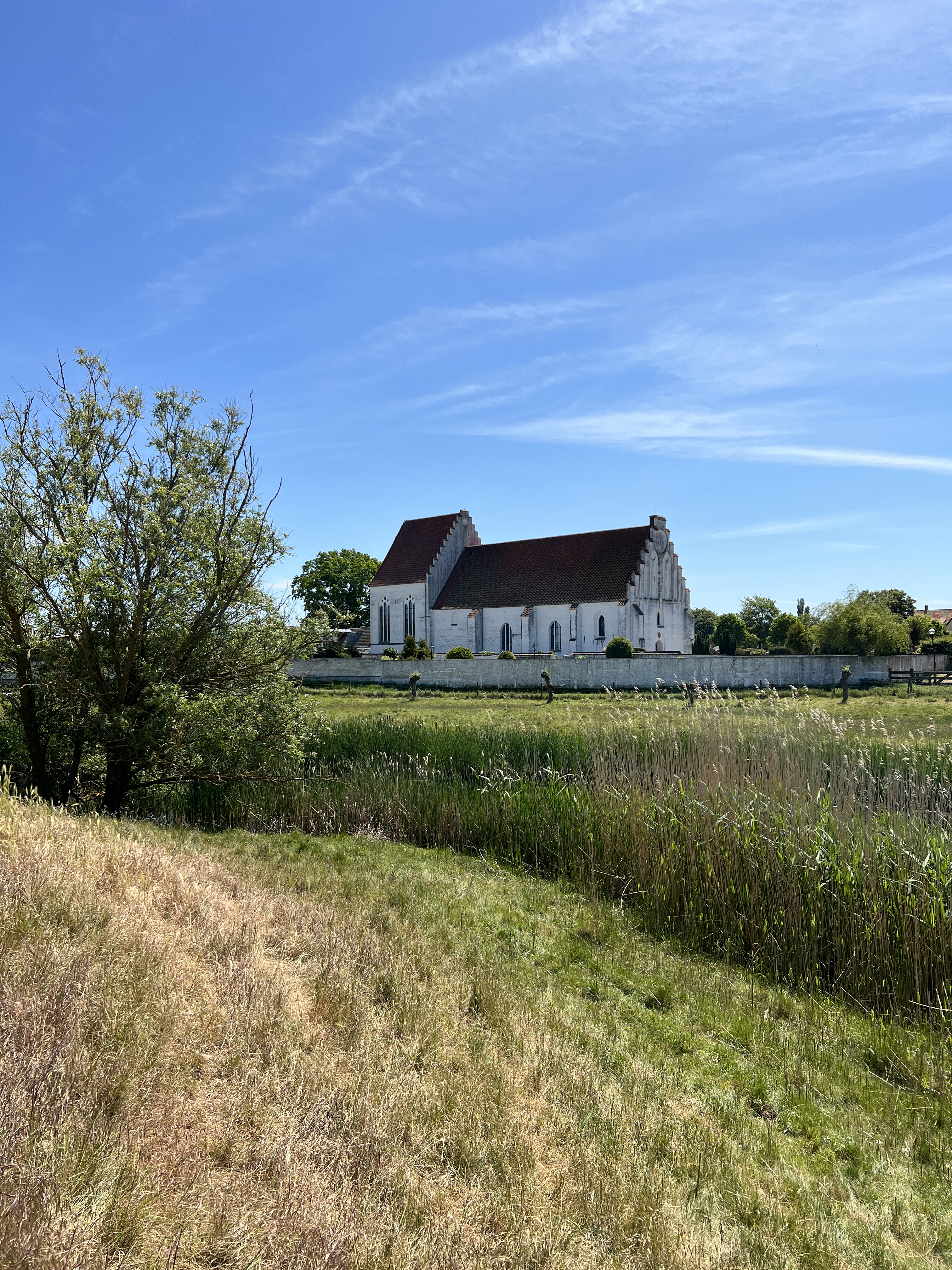 Skanörs kyrka (Näsets pastorat) omgiven av vacker sommargrönska. 