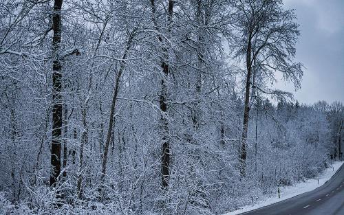 En asfalterad bilväg med snörklädda träd omkring