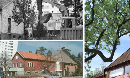 Ett födelsedagsfirande i dagarna tre: 20/4, 23/4 och 25/4 med utställning, minnessaker, andakter, musik och kaffeservering.