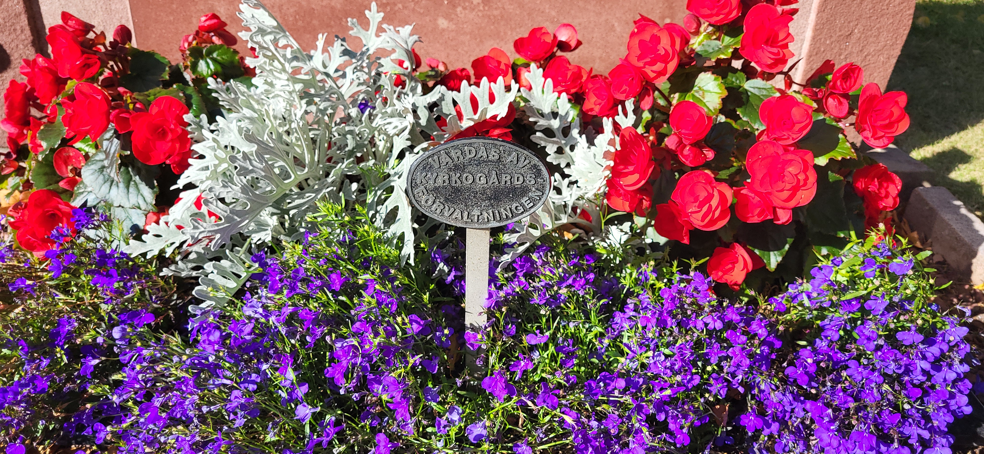 Plantering framför gravsten med en skylt i metall det står Sköts av kyrkogårdsförvaltningen.