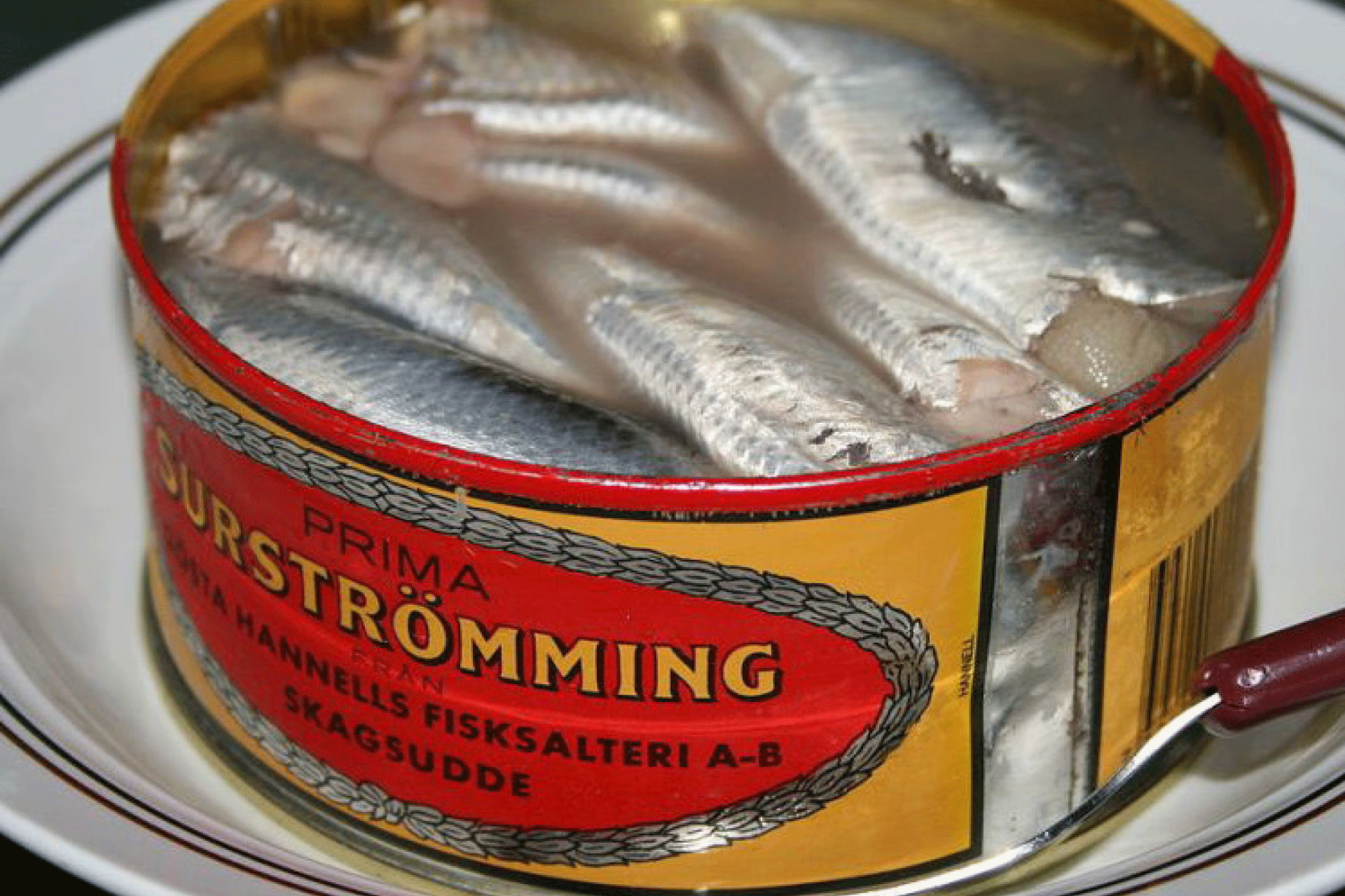 surströmming