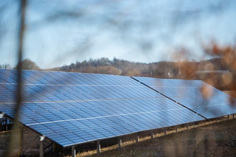 Solceller syns genom löv