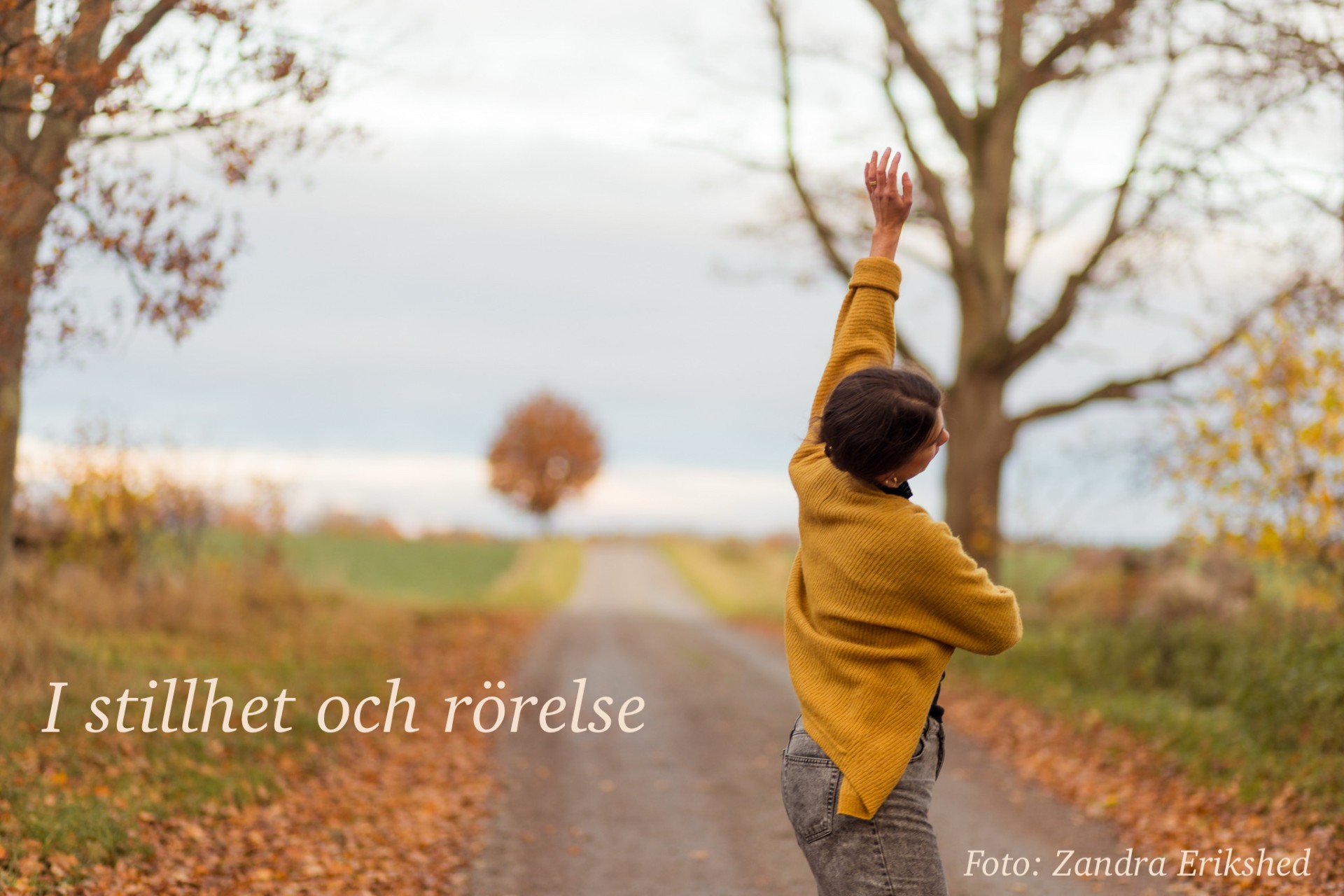 i stillhet och rörelse